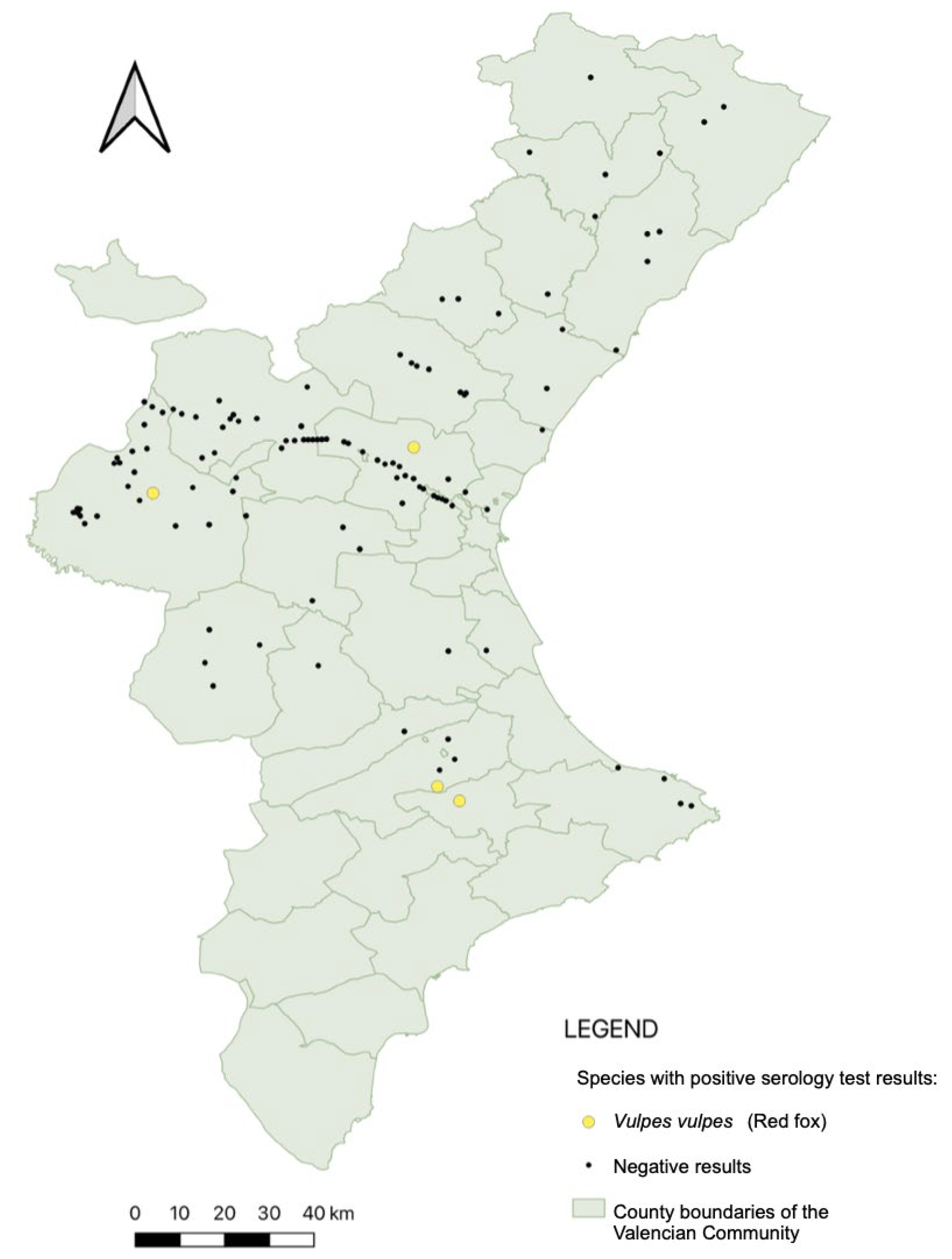 Animals 15 02751 g004