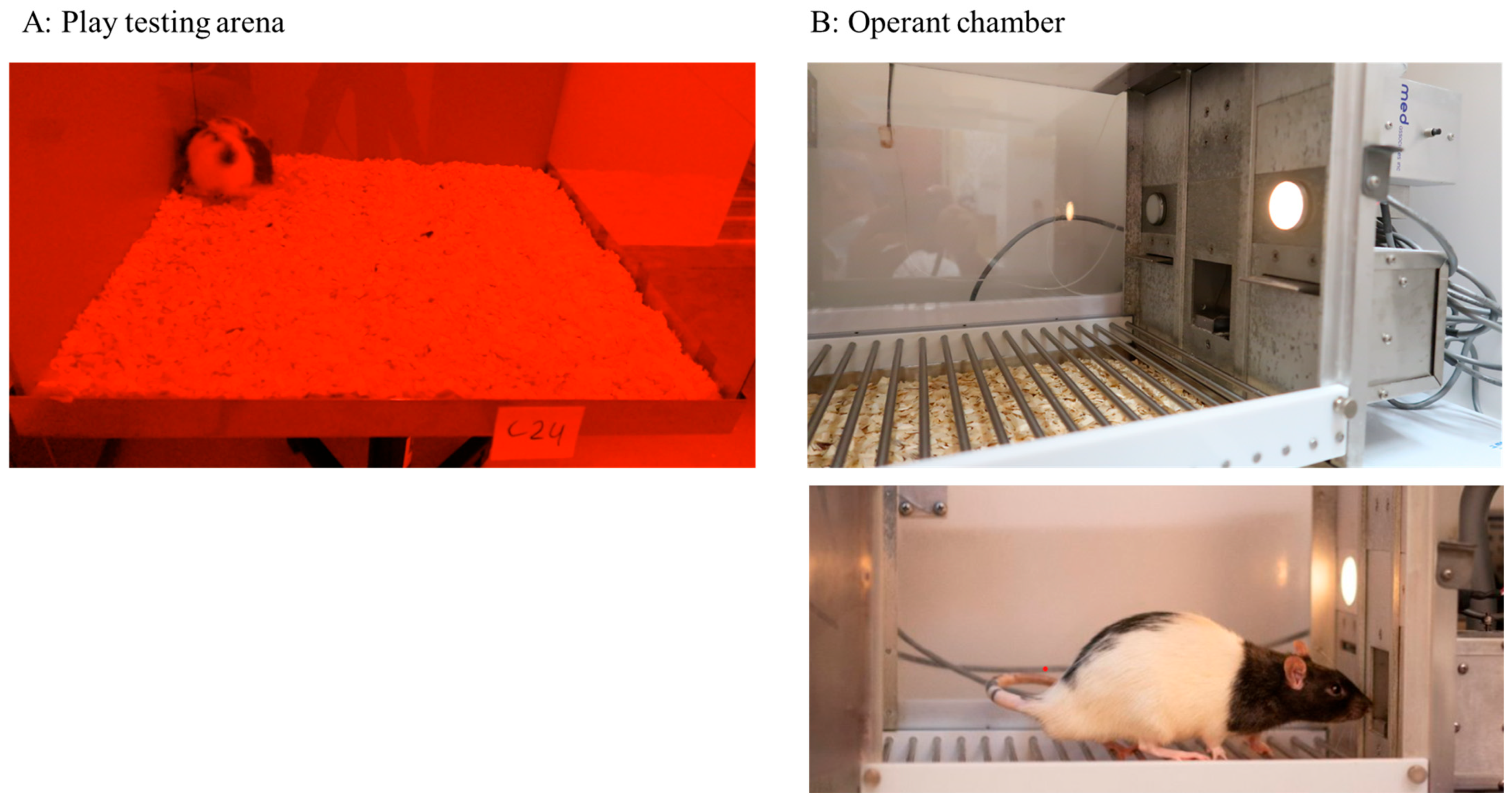 Animals 15 02757 g002 Animals 15 02757 g002