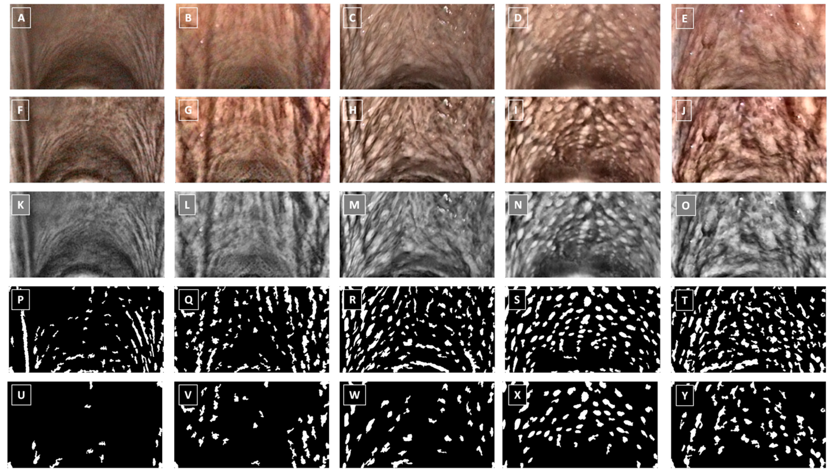 Animals 15 02758 g003 Animals 15 02758 g003