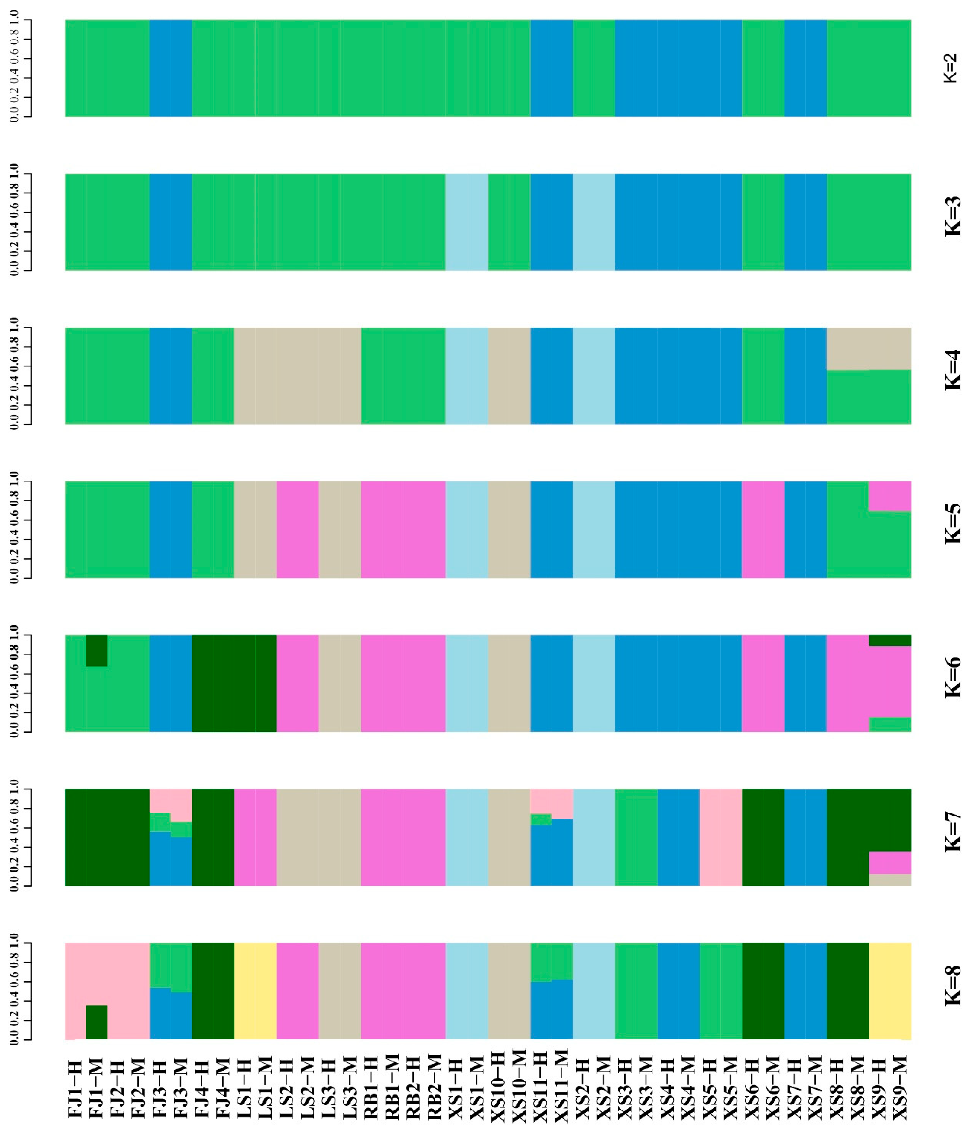 Animals 15 02759 g003