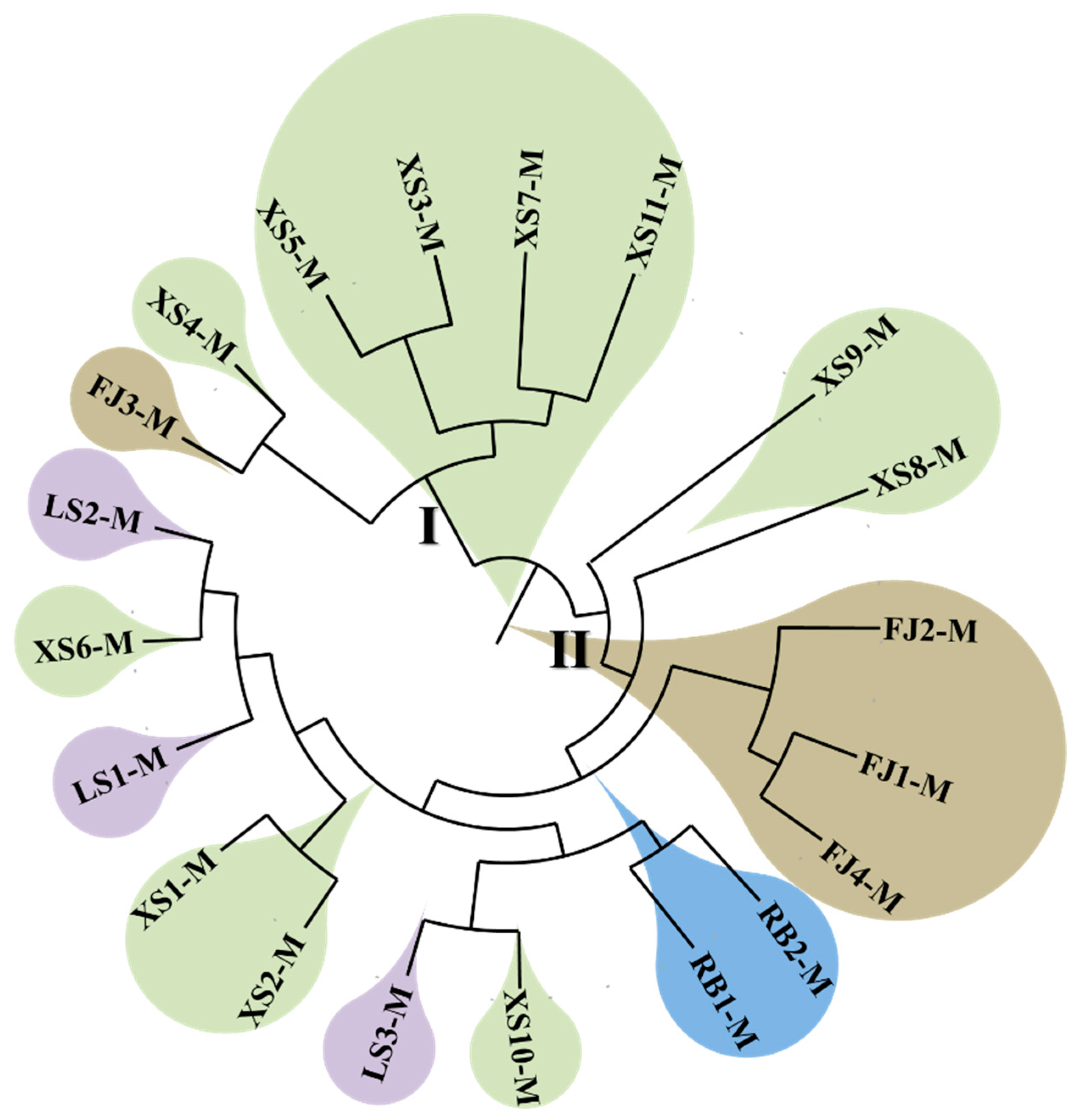 Animals 15 02759 g004