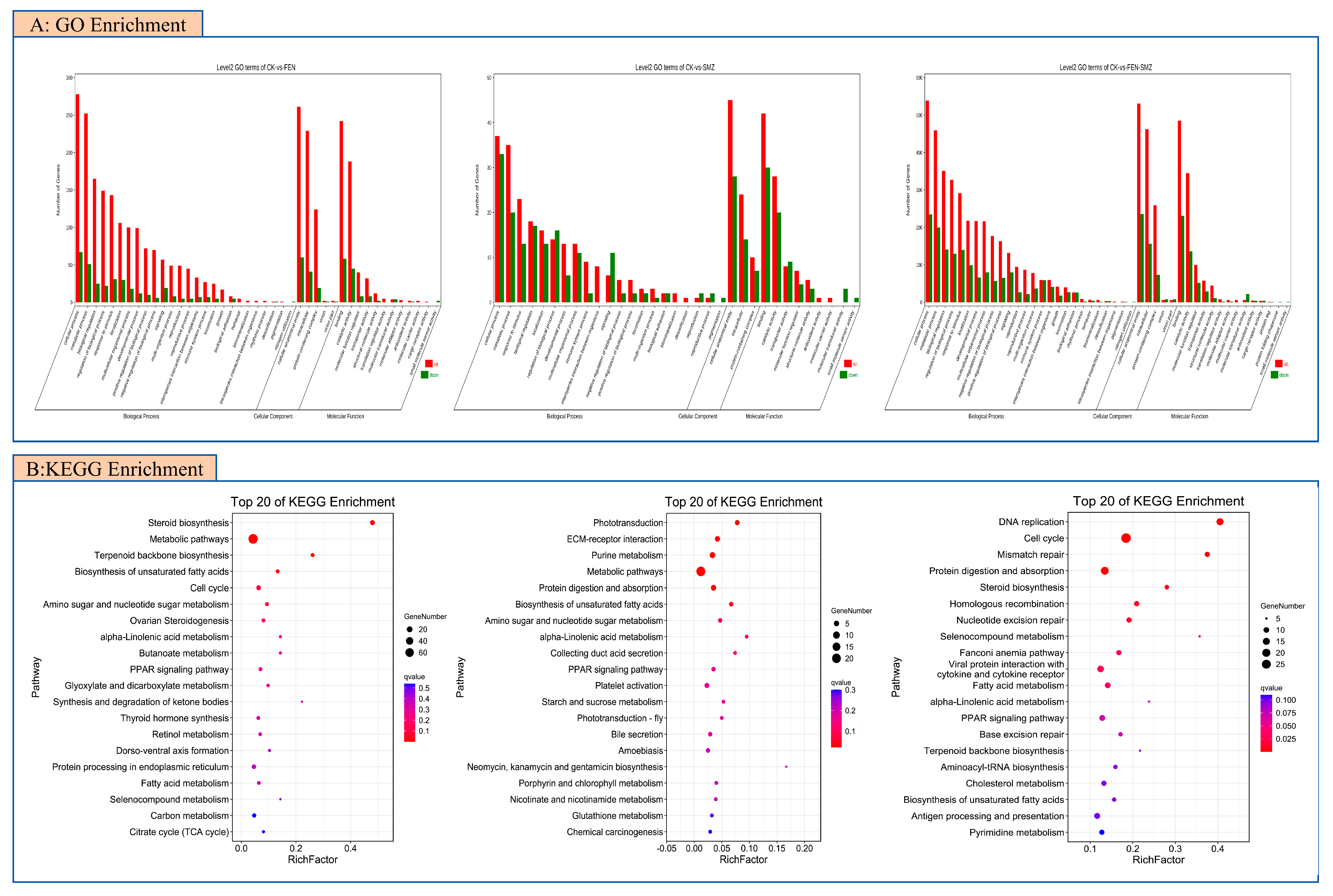 Animals 15 02765 g004