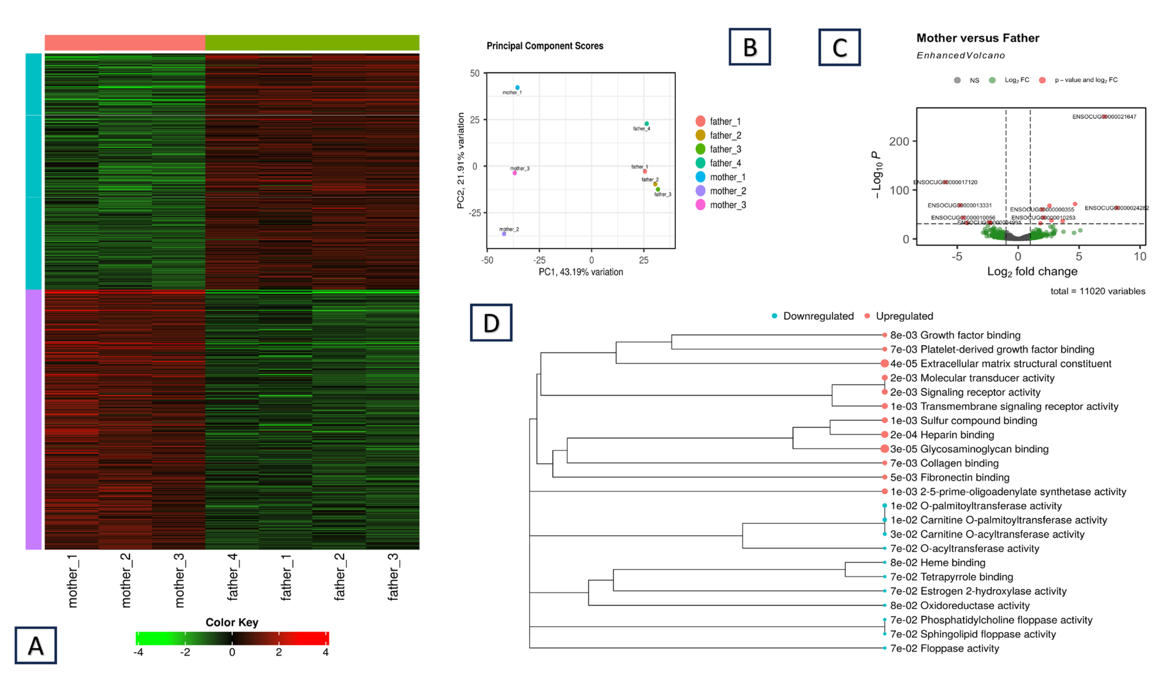 Animals 15 02766 g001