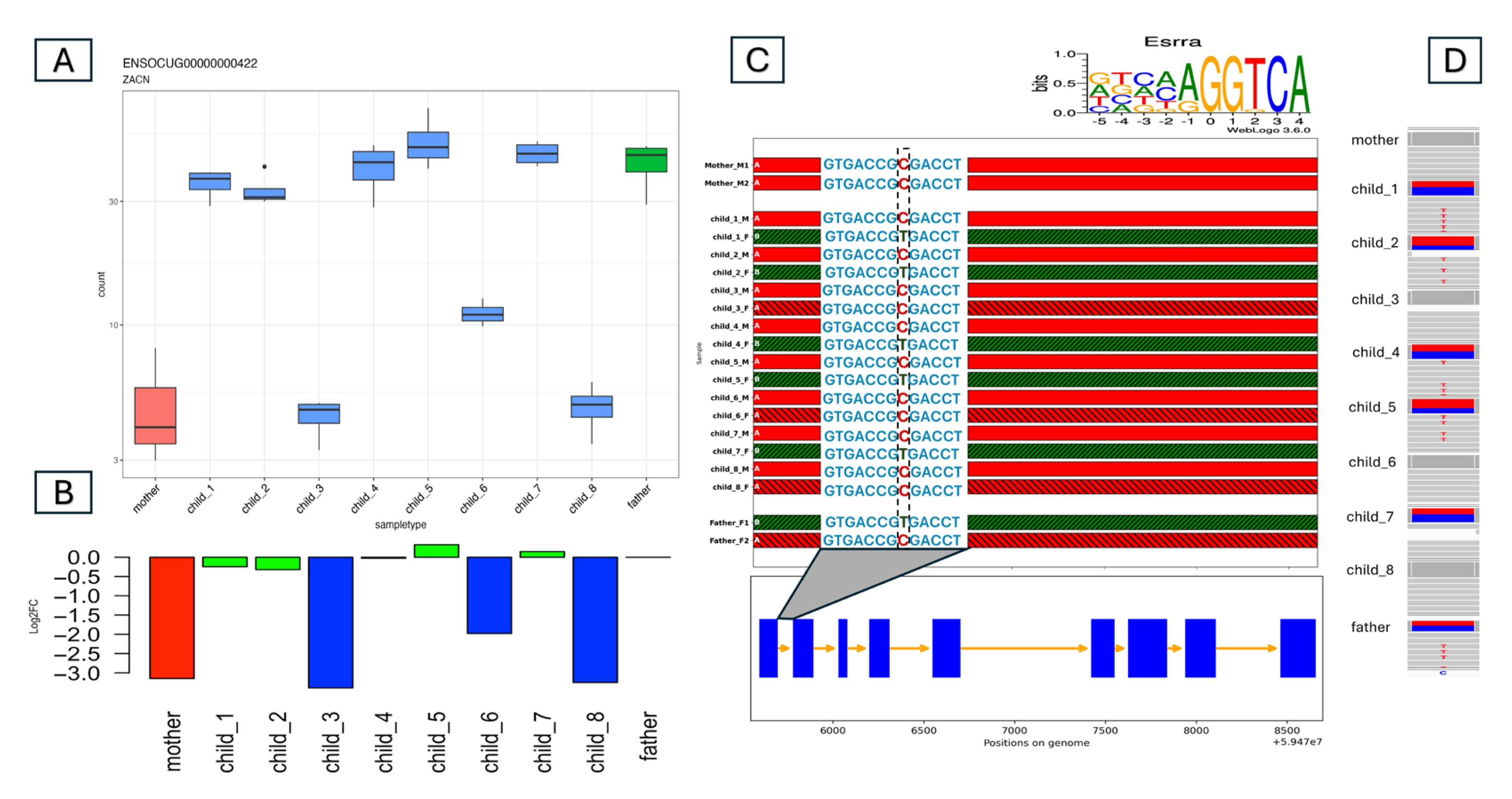 Animals 15 02766 g004