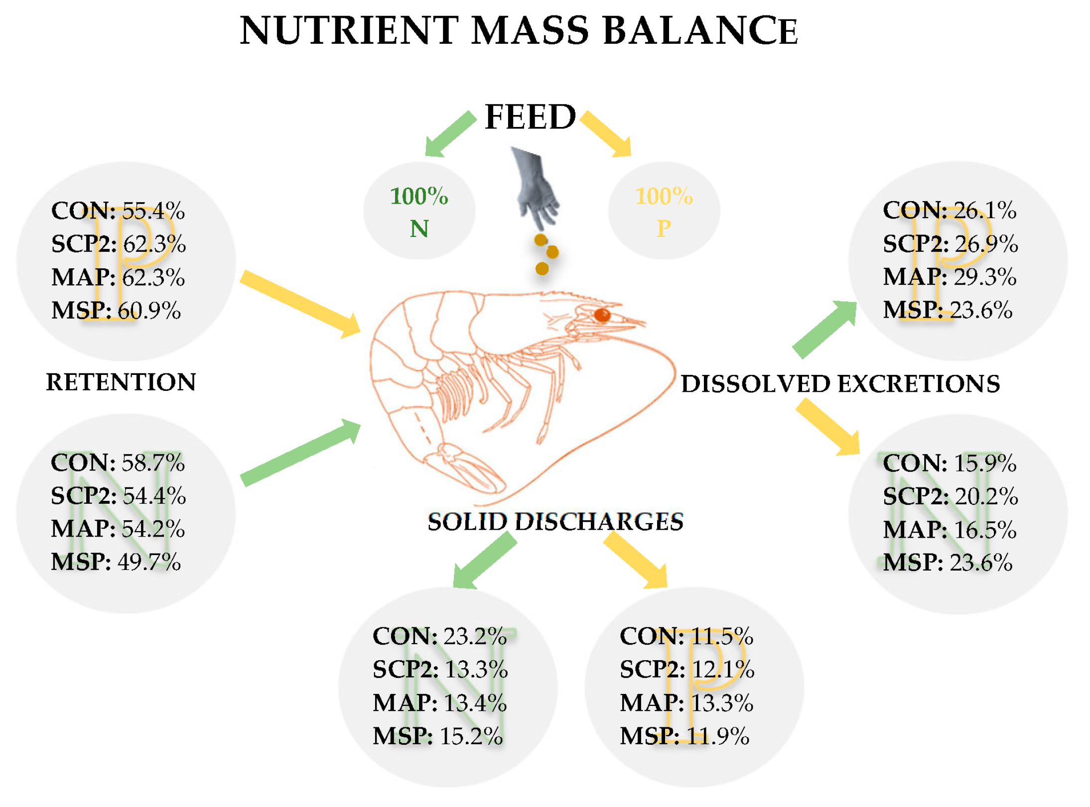 Animals 15 02769 g005 Animals 15 02769 g005