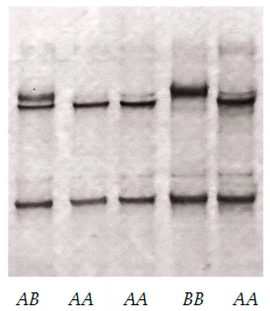 Animals 15 02770 g001