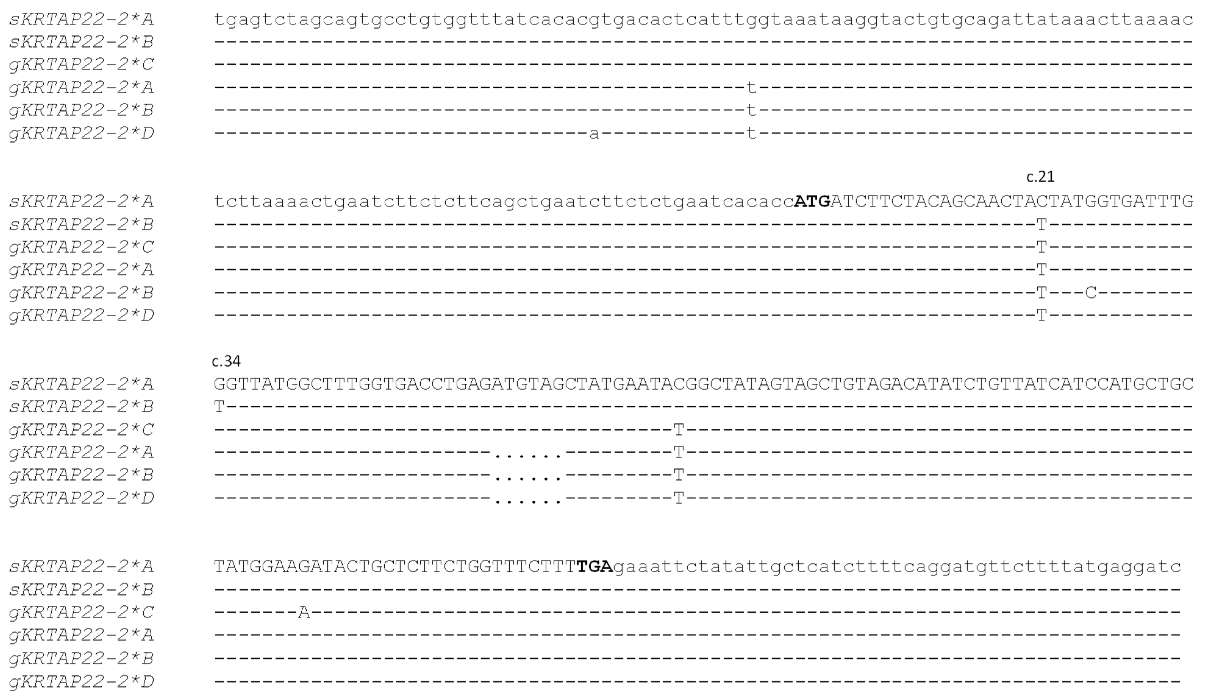 Animals 15 02770 g002