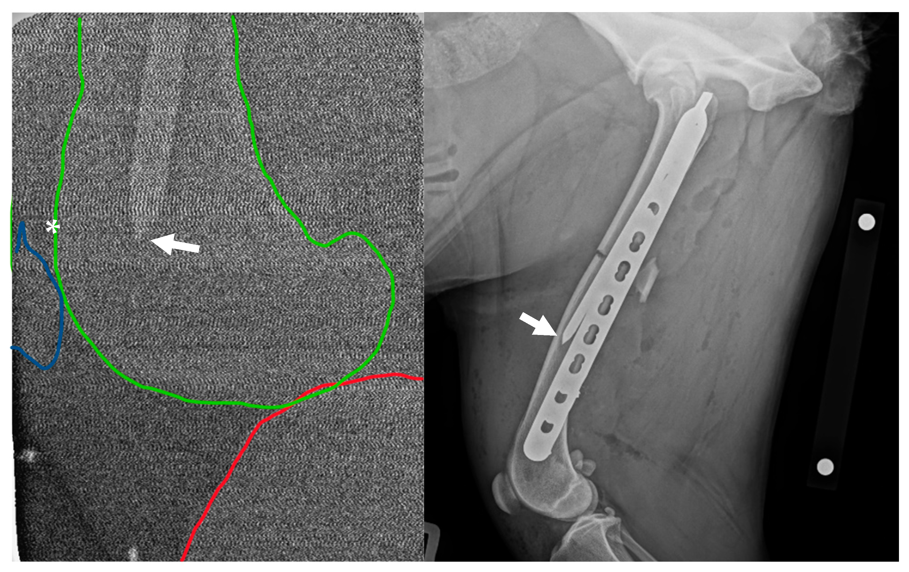 Animals 15 02777 g001