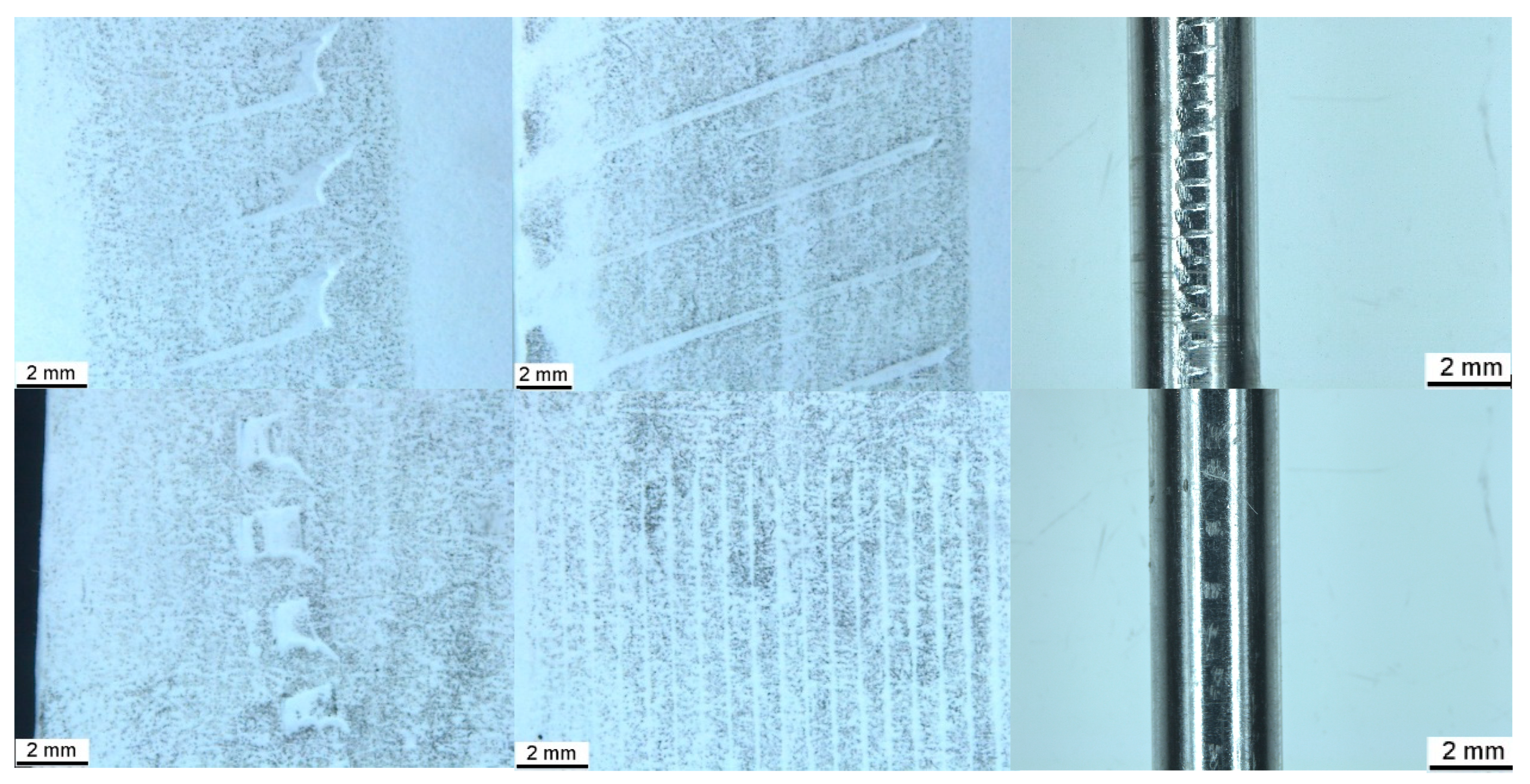 Animals 15 02777 g004