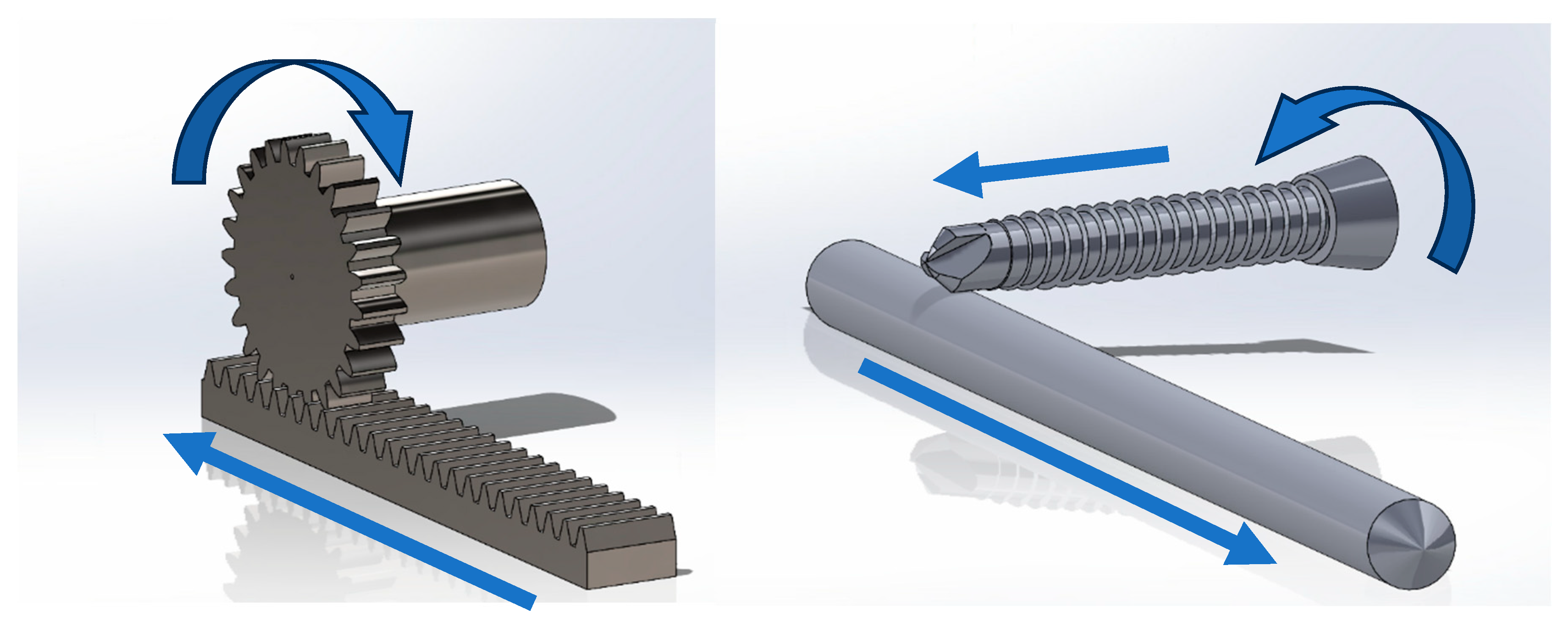 Animals 15 02777 g006