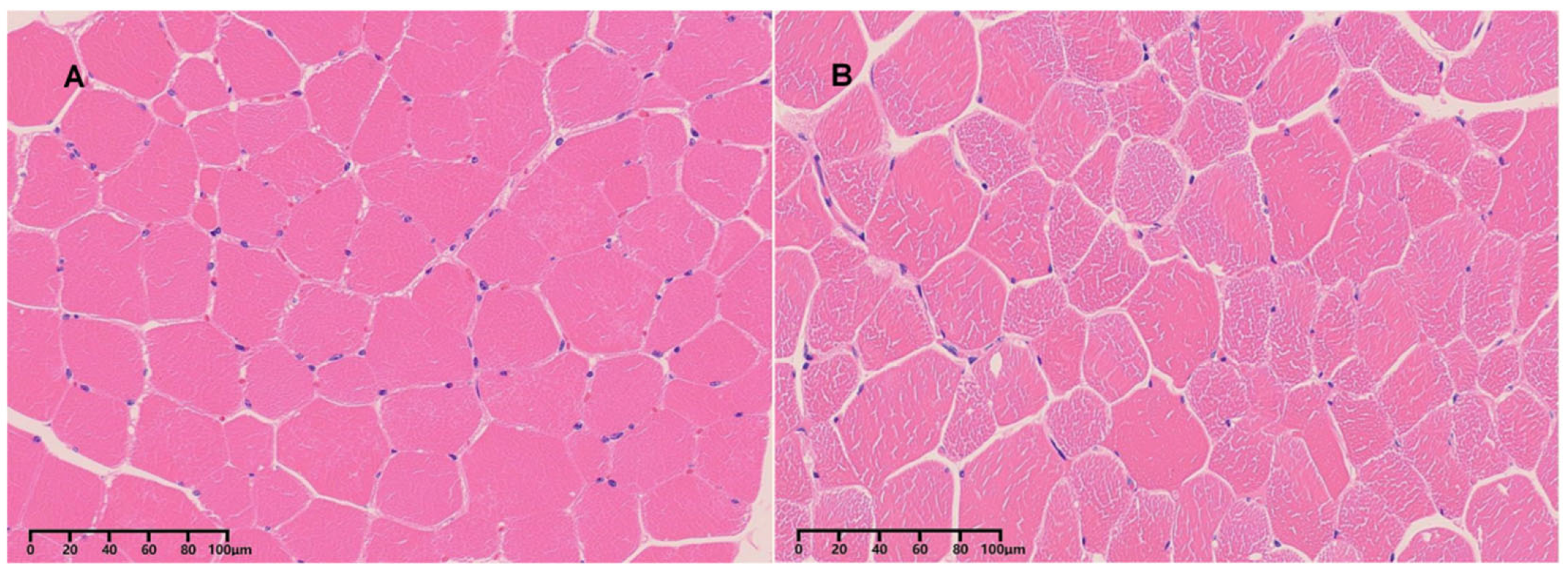 Animals 15 02778 g001