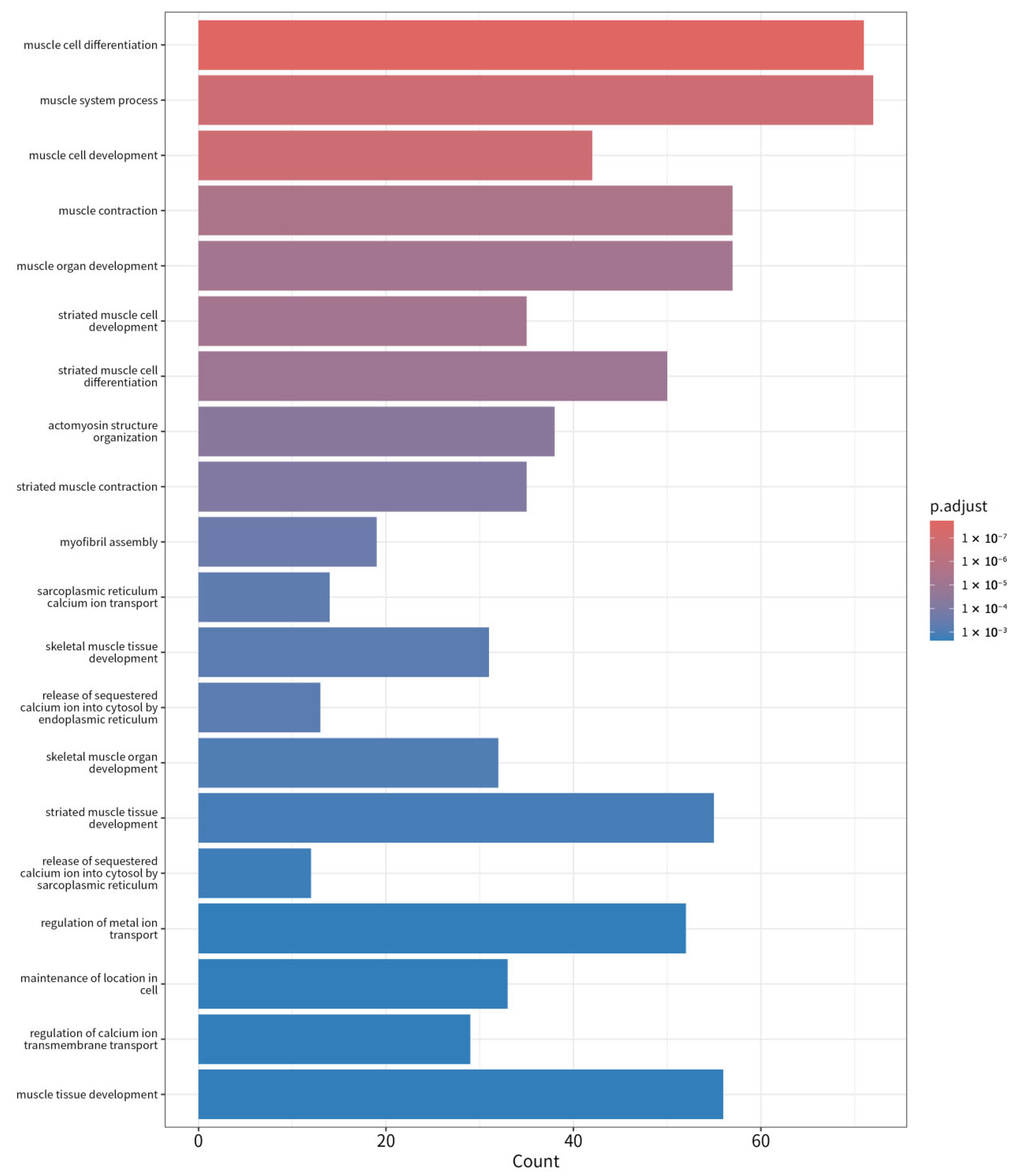 Animals 15 02778 g005