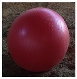 Animals 15 02779 i002 Animals 15 02779 i002