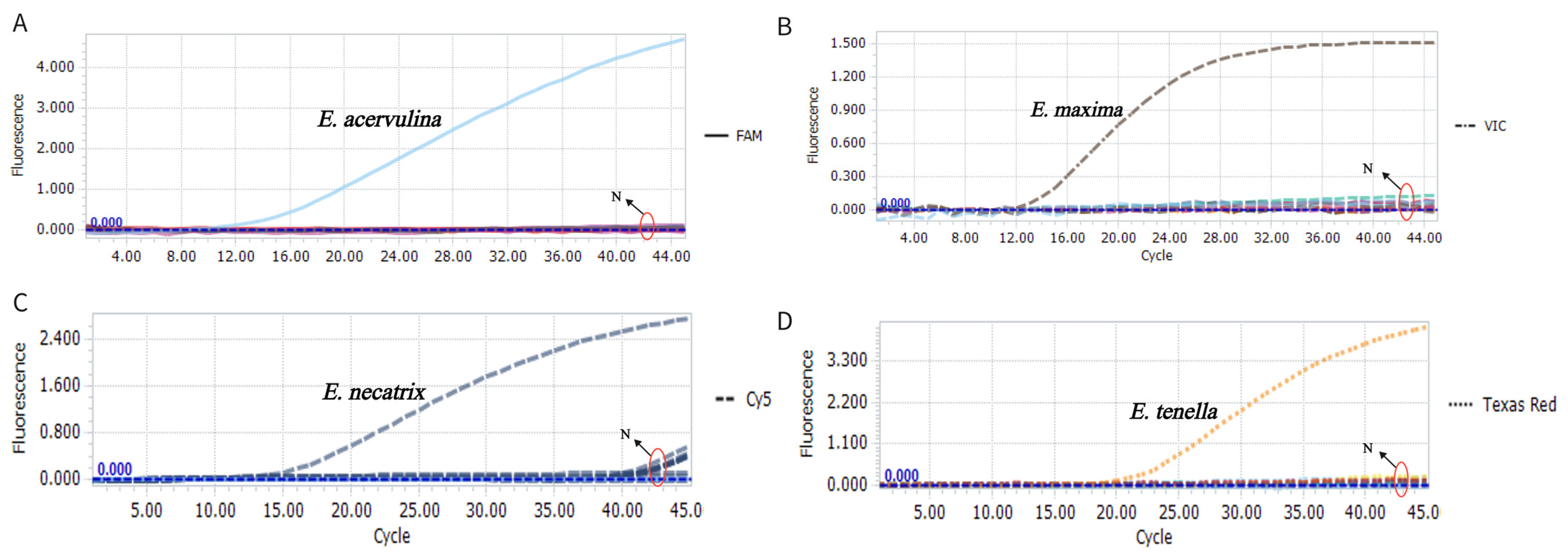 Animals 15 02792 g002