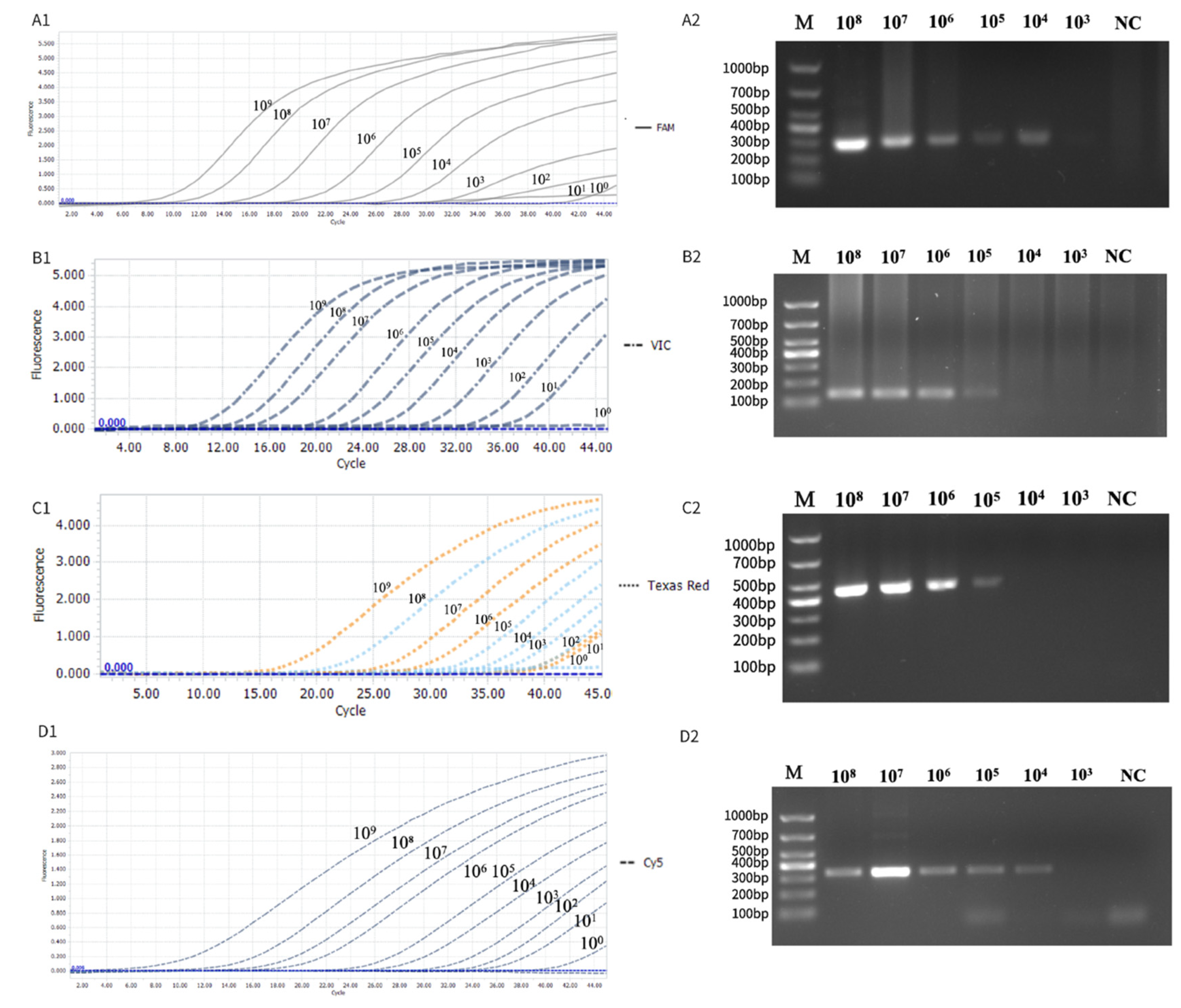 Animals 15 02792 g003