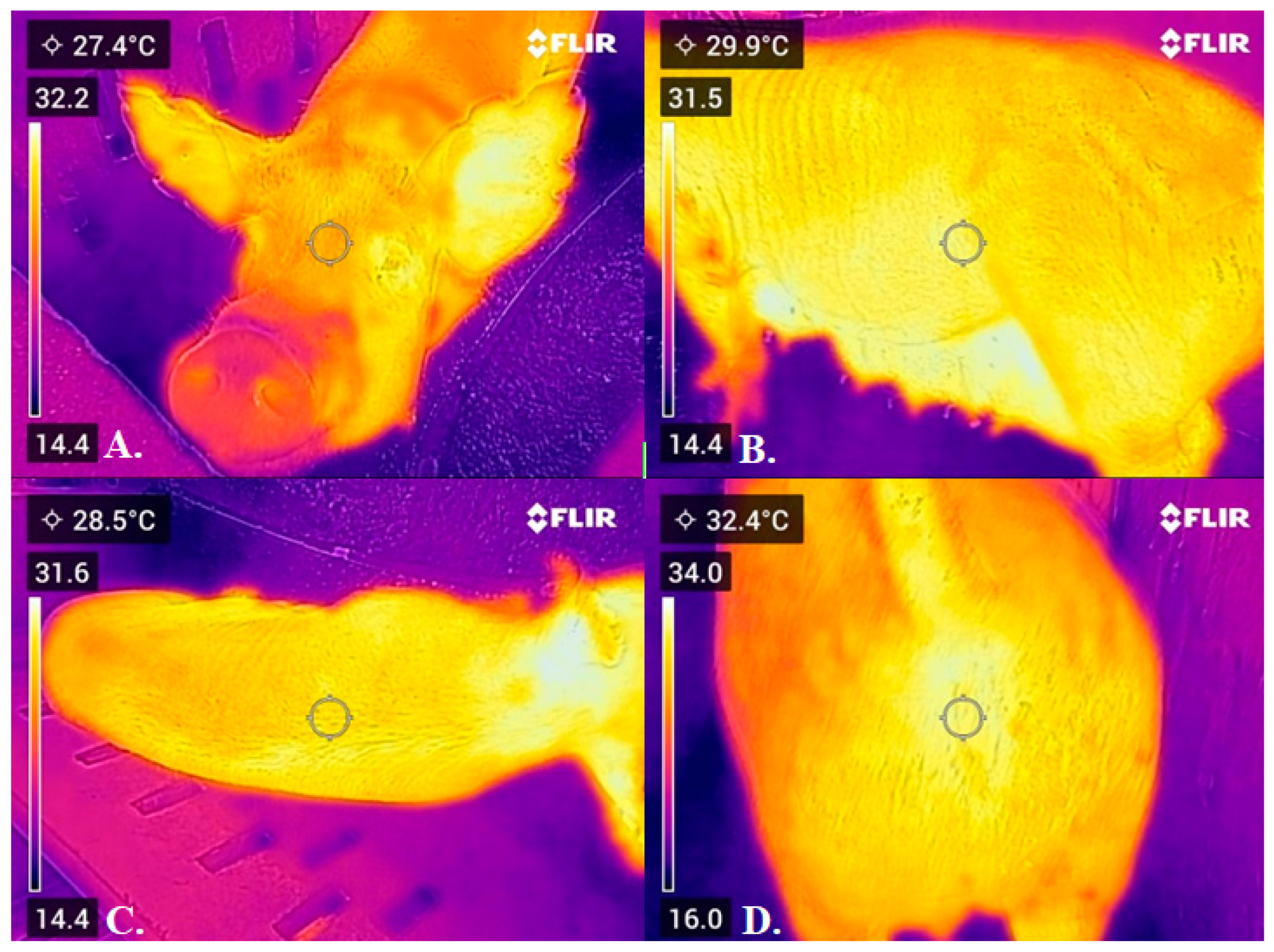 Animals 15 02798 g001 Animals 15 02798 g001