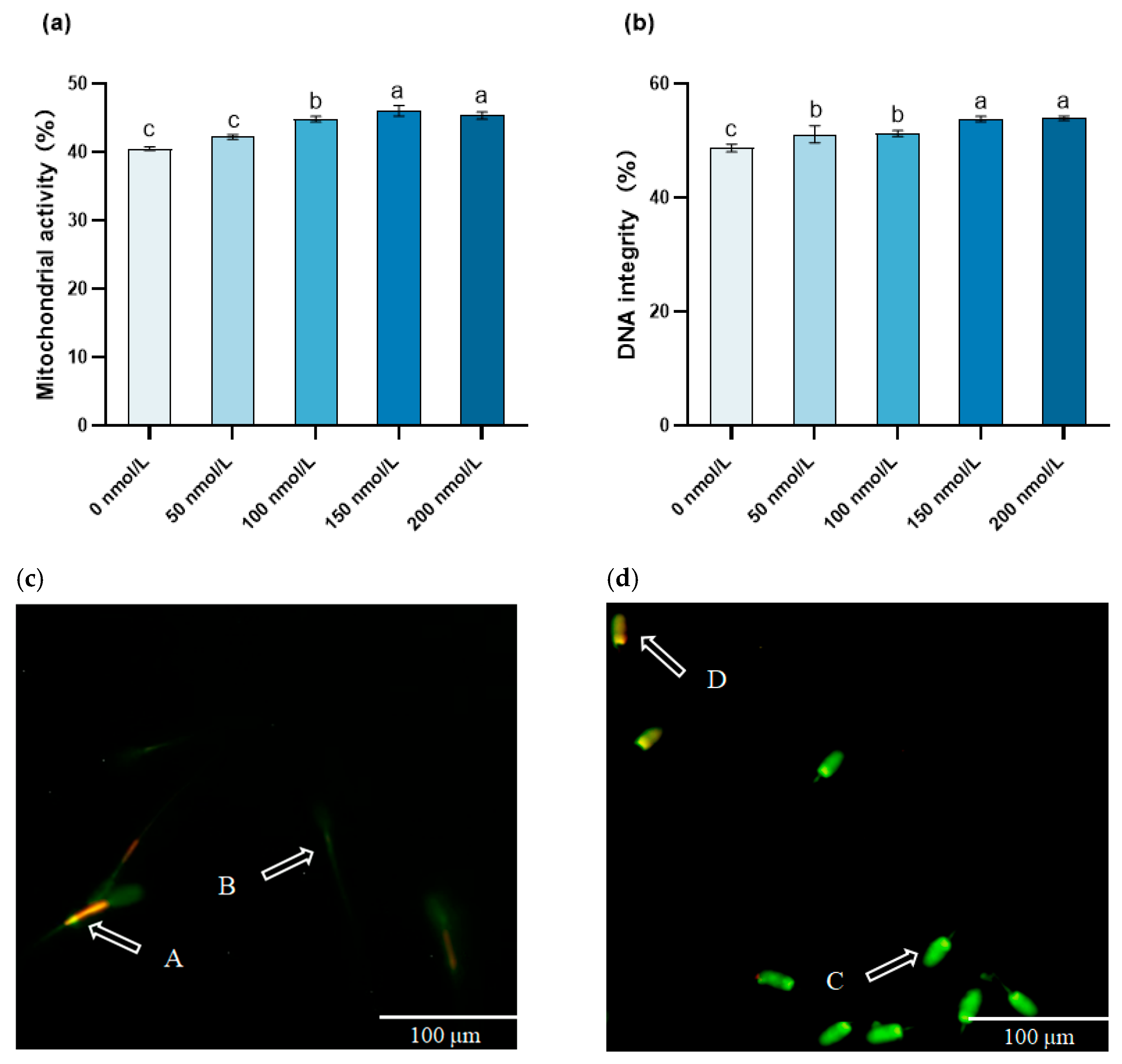 Animals 15 02808 g003