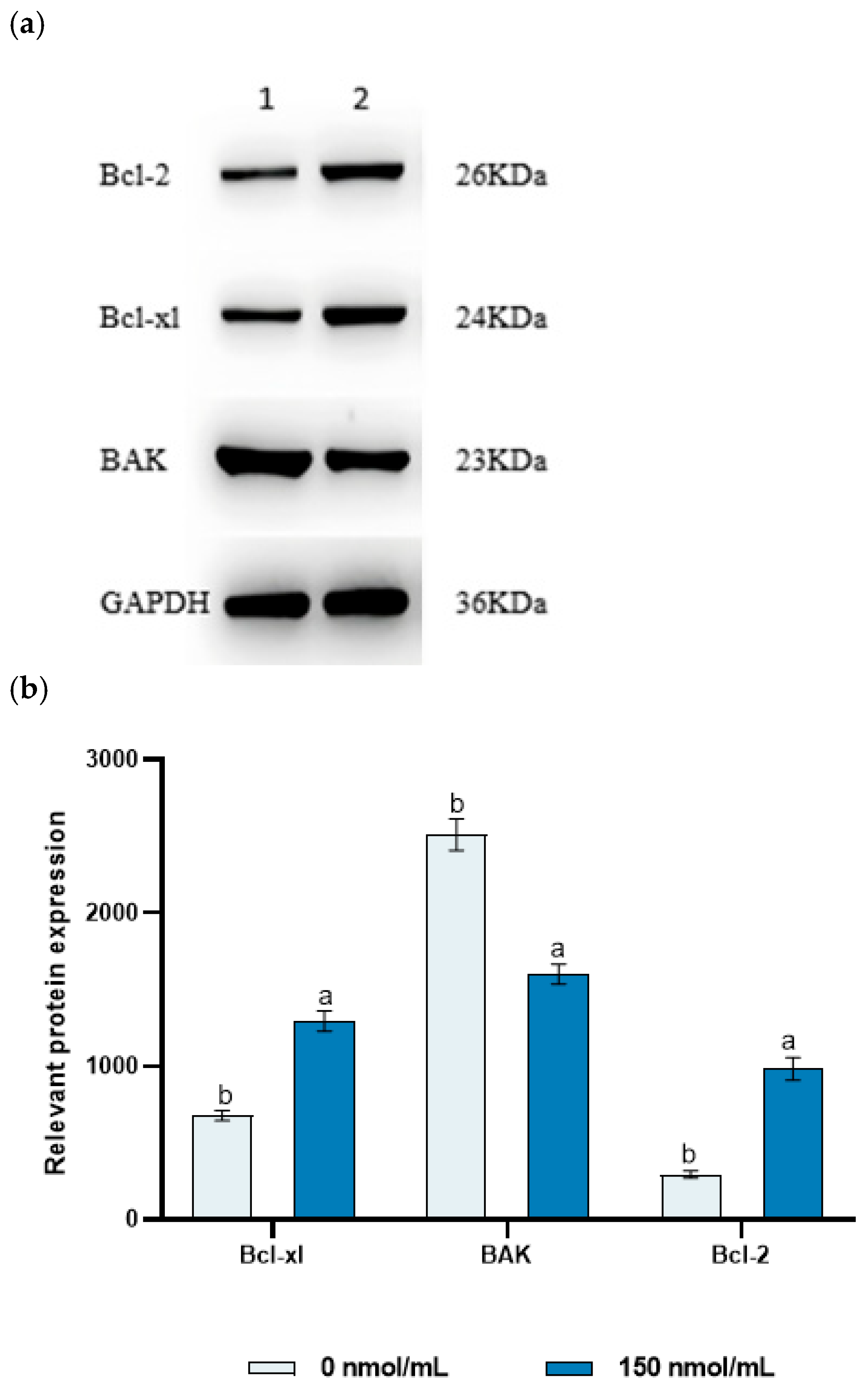 Animals 15 02808 g005