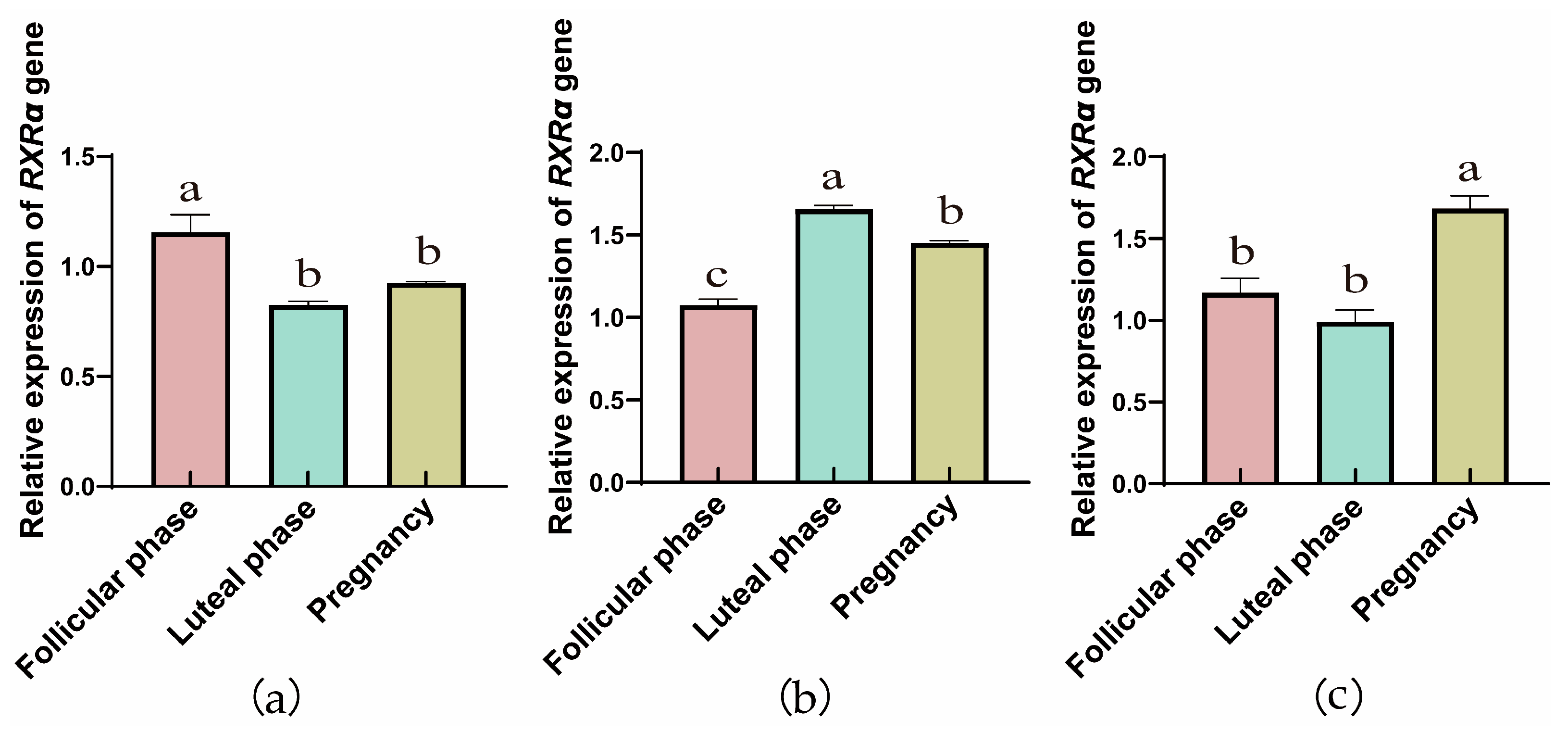Animals 15 02814 g001 Animals 15 02814 g001