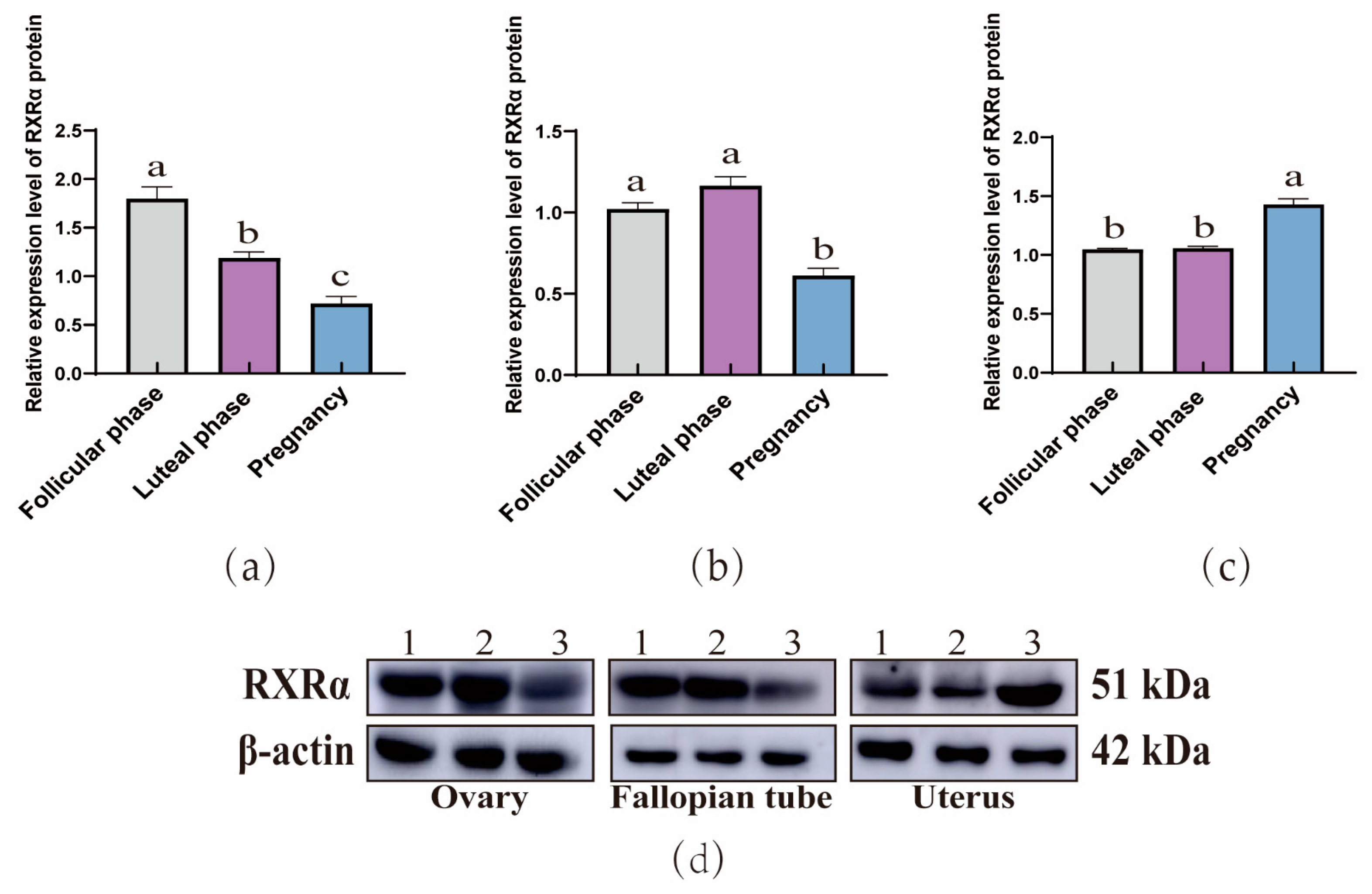 Animals 15 02814 g004 Animals 15 02814 g004