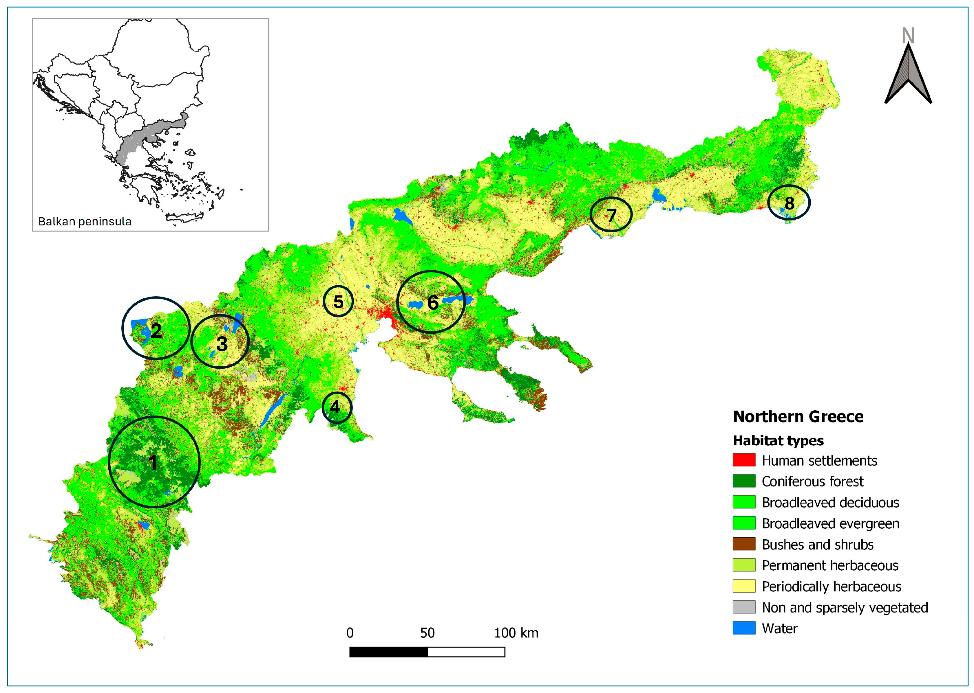 Animals 15 02816 g001
