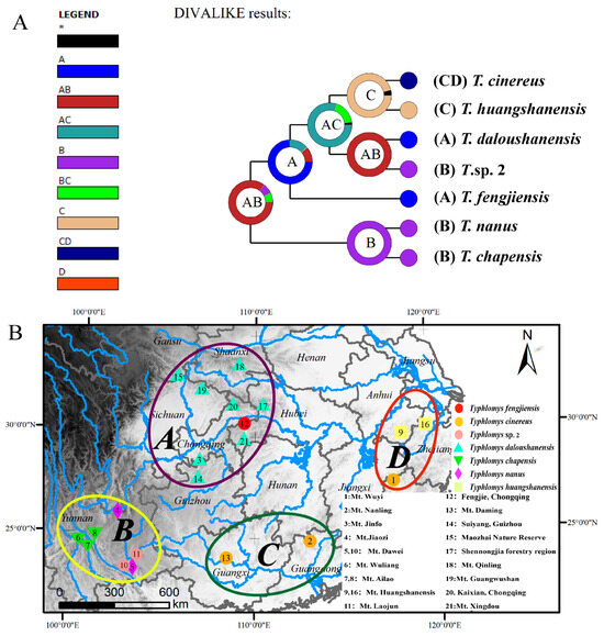 Mitogenomic Insights into Phylogeny, Biogeography and Adaptive