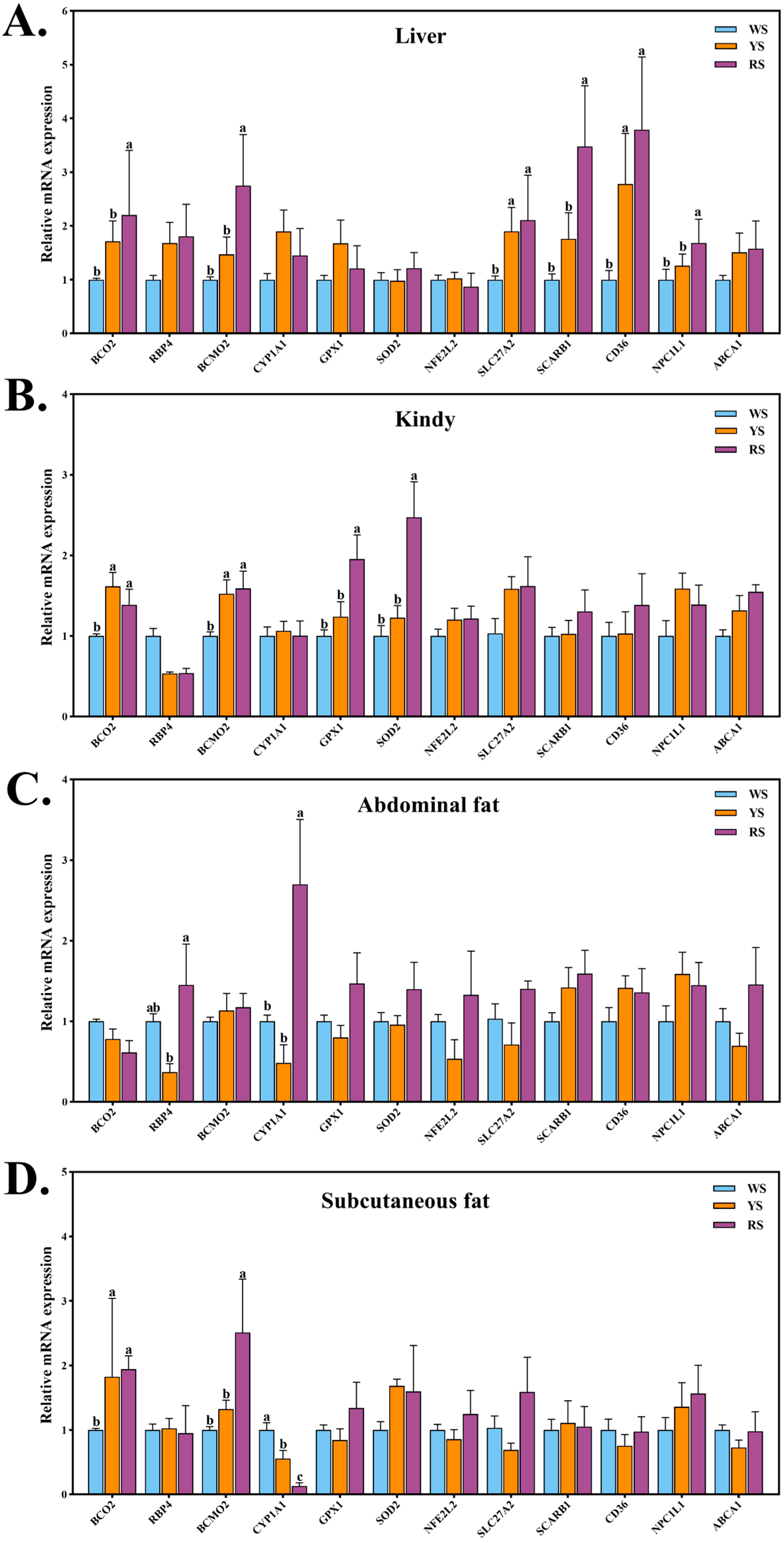 Animals 15 02832 g001
