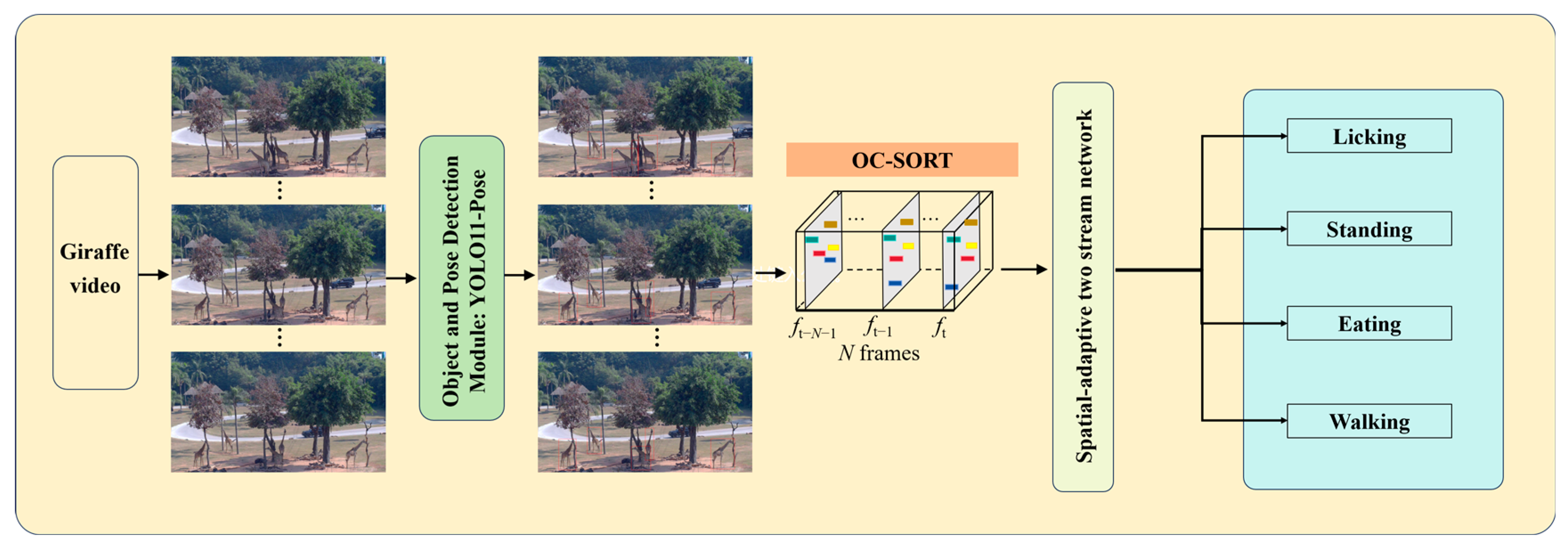 Animals 15 02833 g002