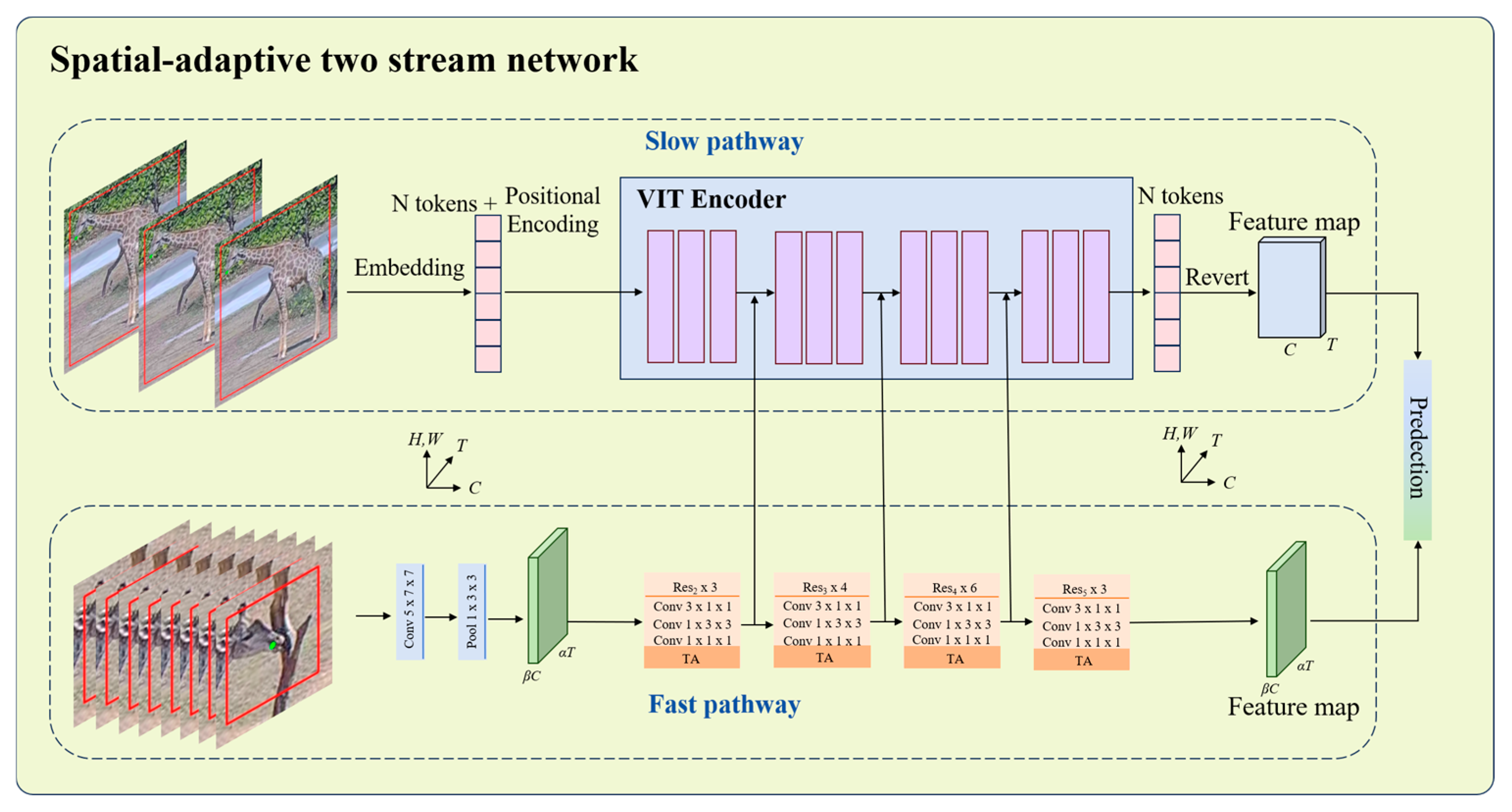 Animals 15 02833 g006