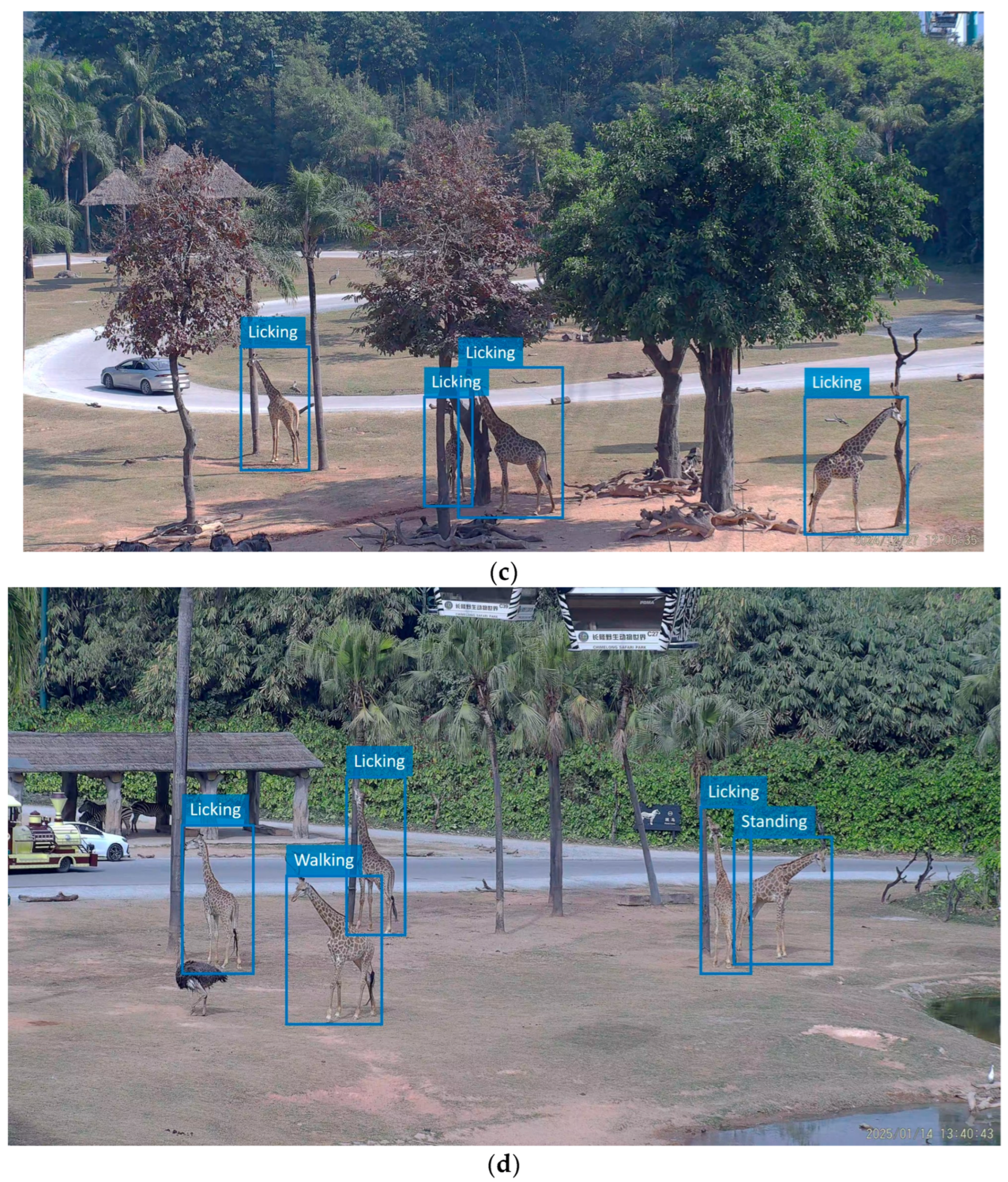 Animals 15 02833 g008b