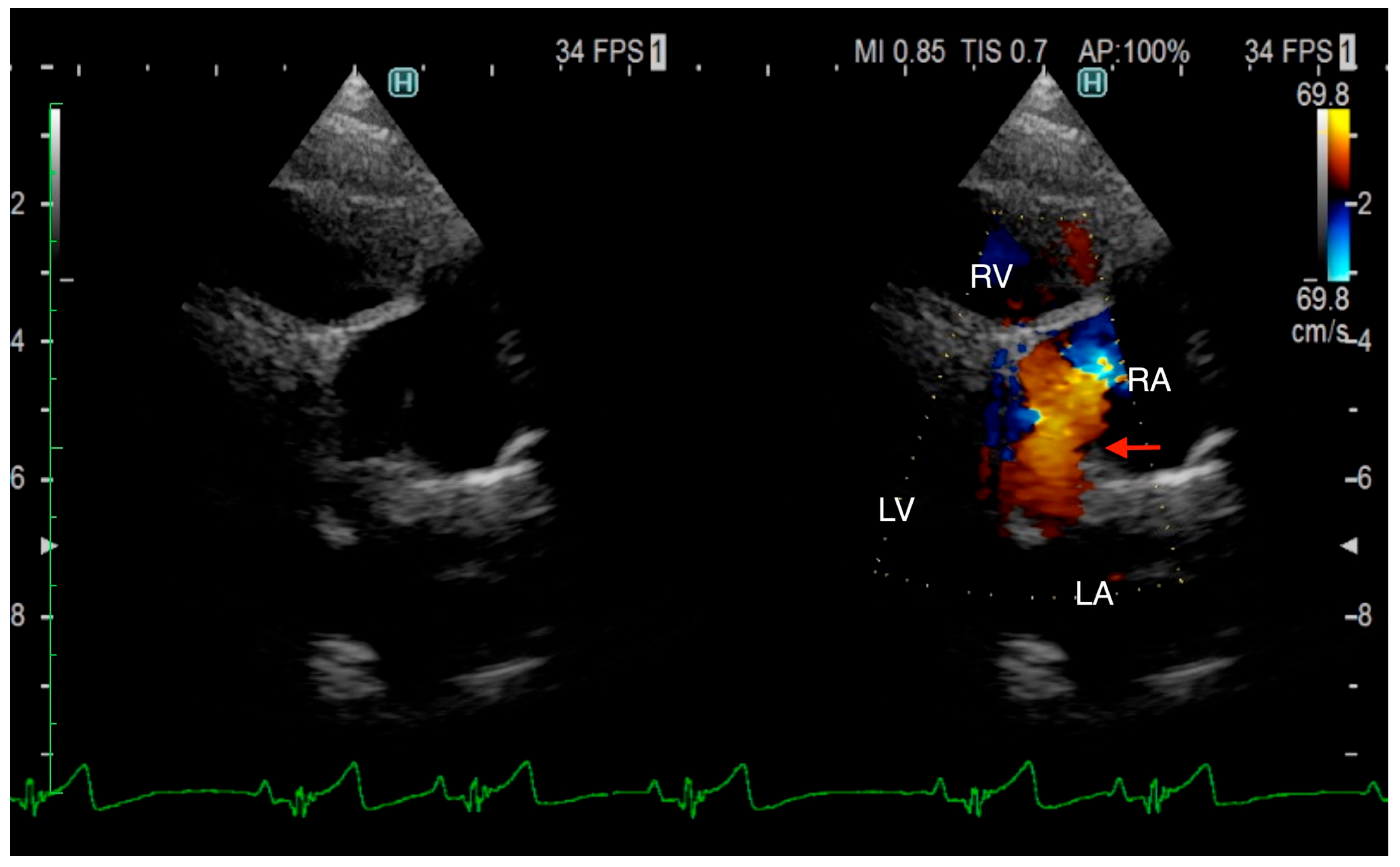 Animals 15 02834 g001