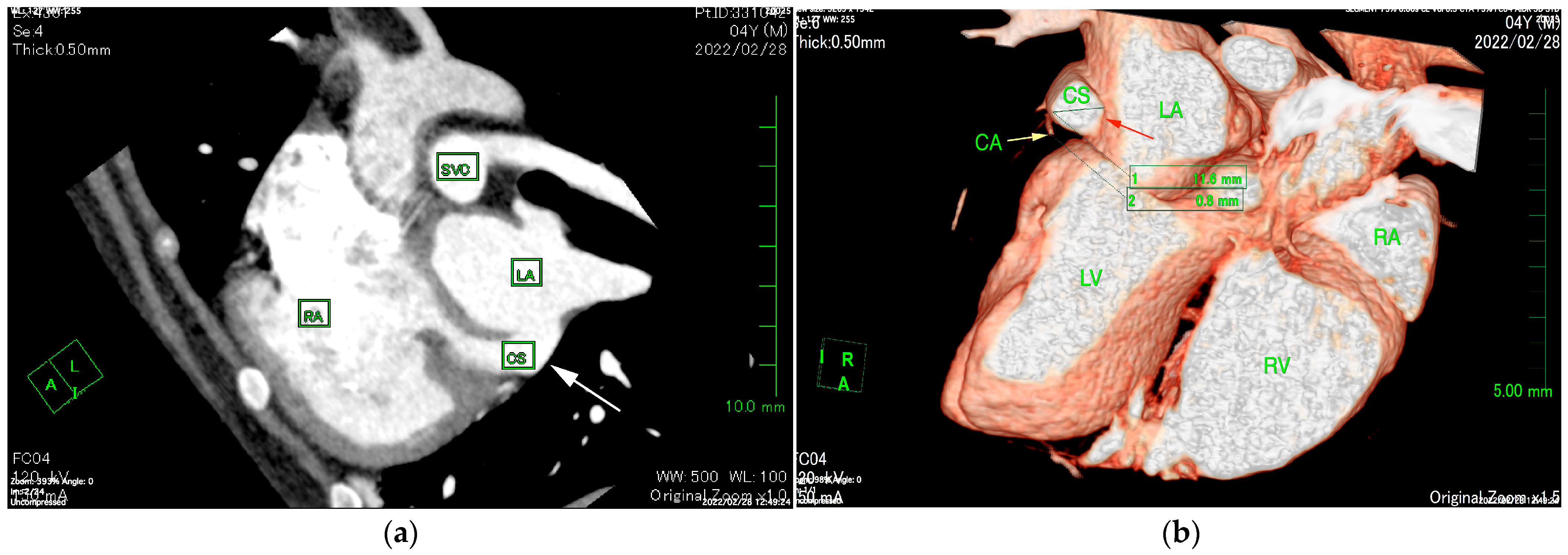 Animals 15 02834 g002