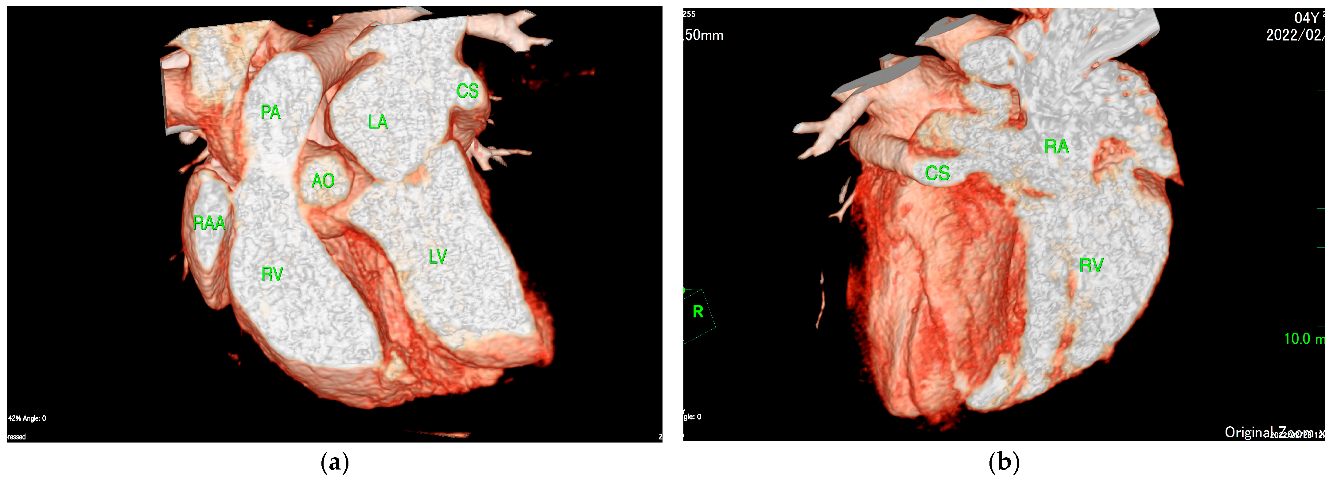 Animals 15 02834 g003