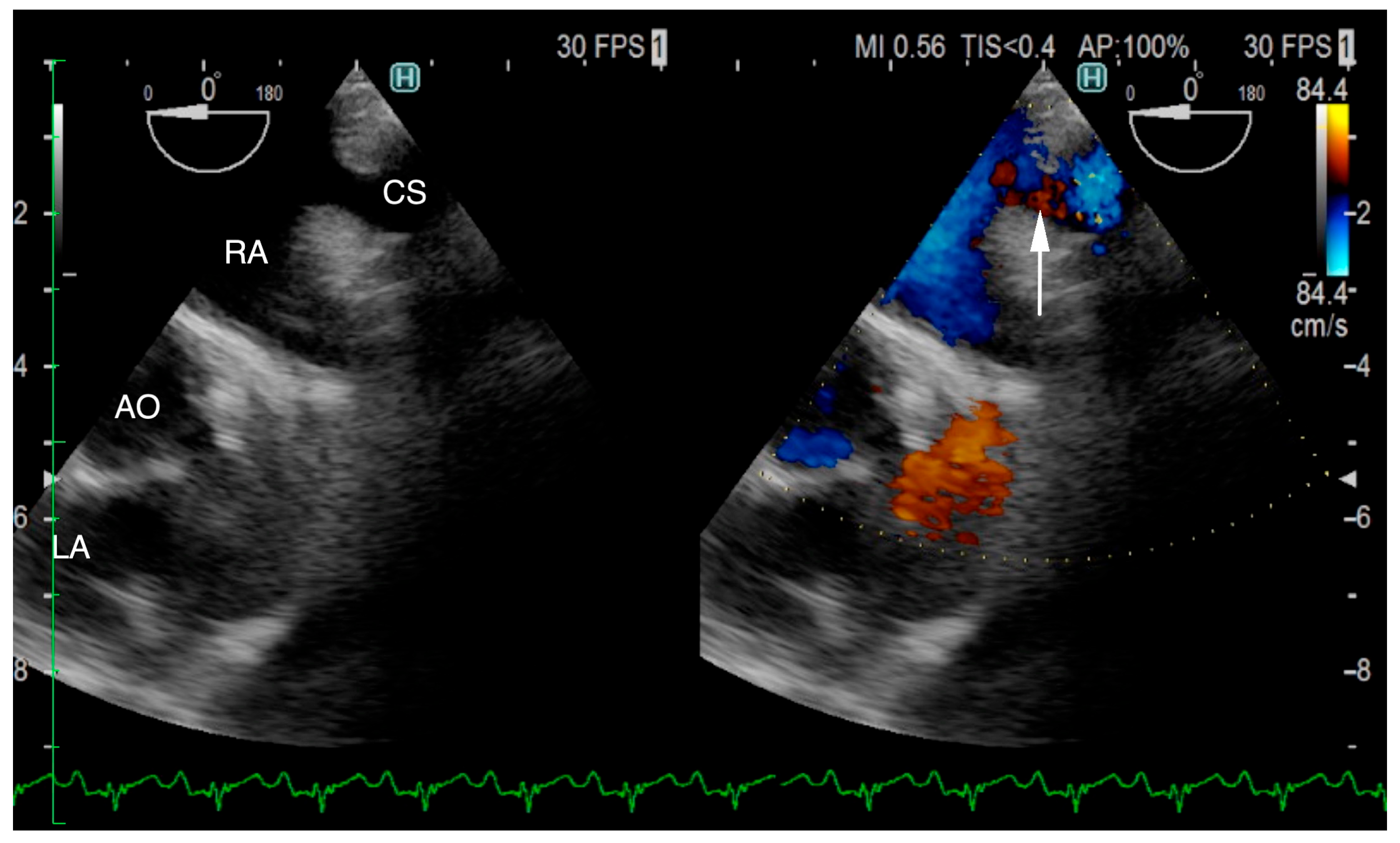 Animals 15 02834 g004