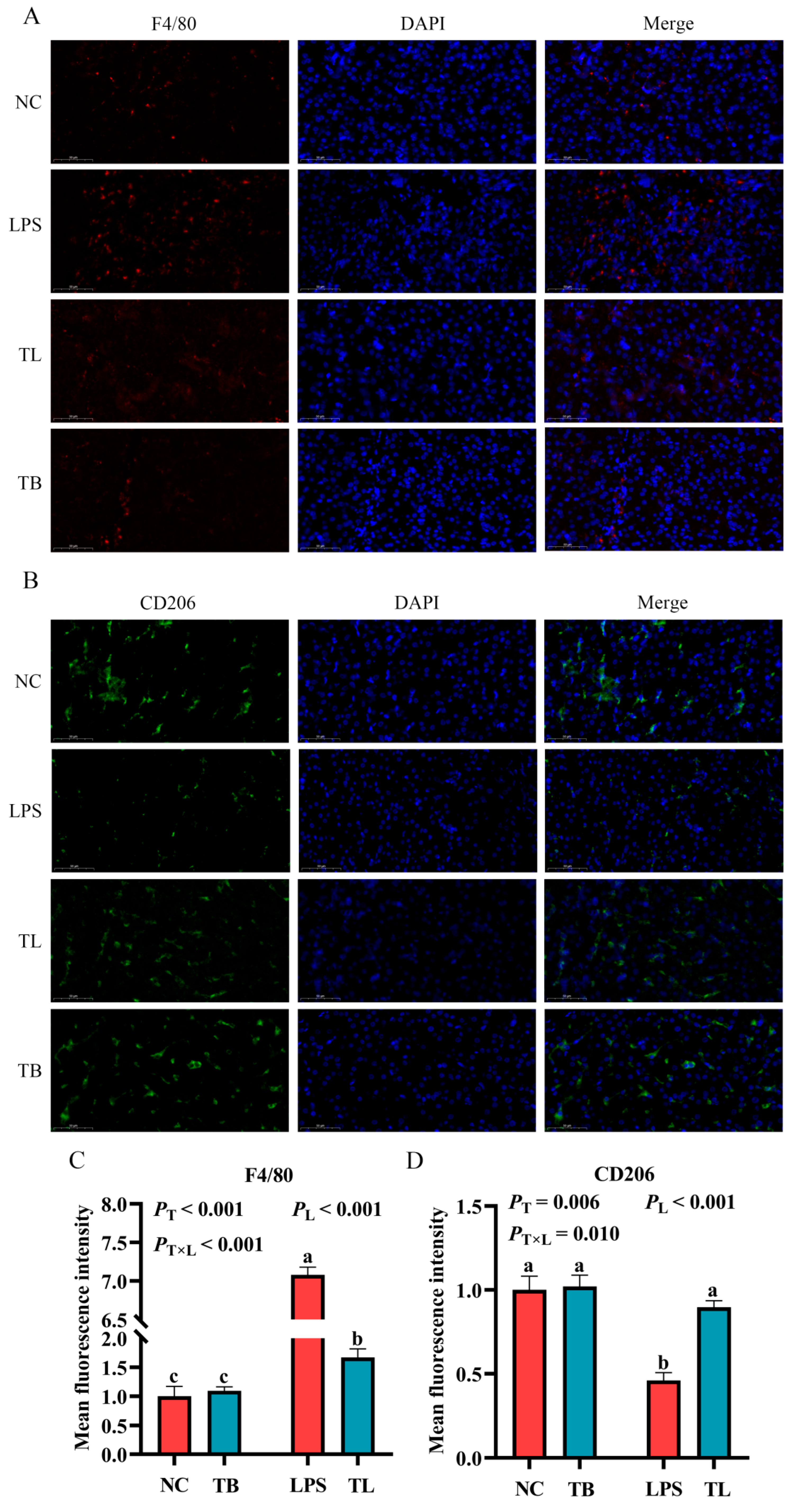 Animals 15 02842 g004 Animals 15 02842 g004