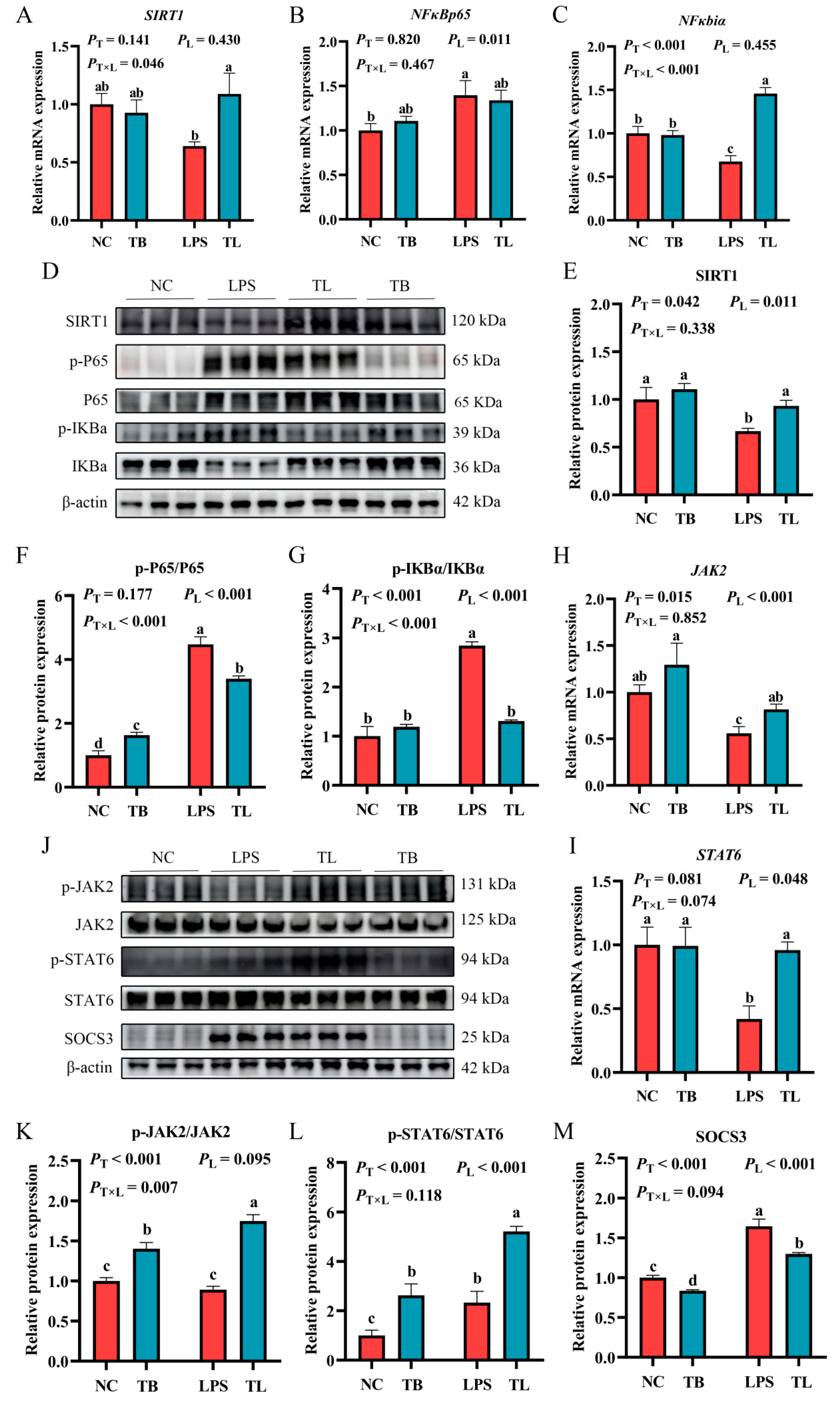 Animals 15 02842 g005 Animals 15 02842 g005