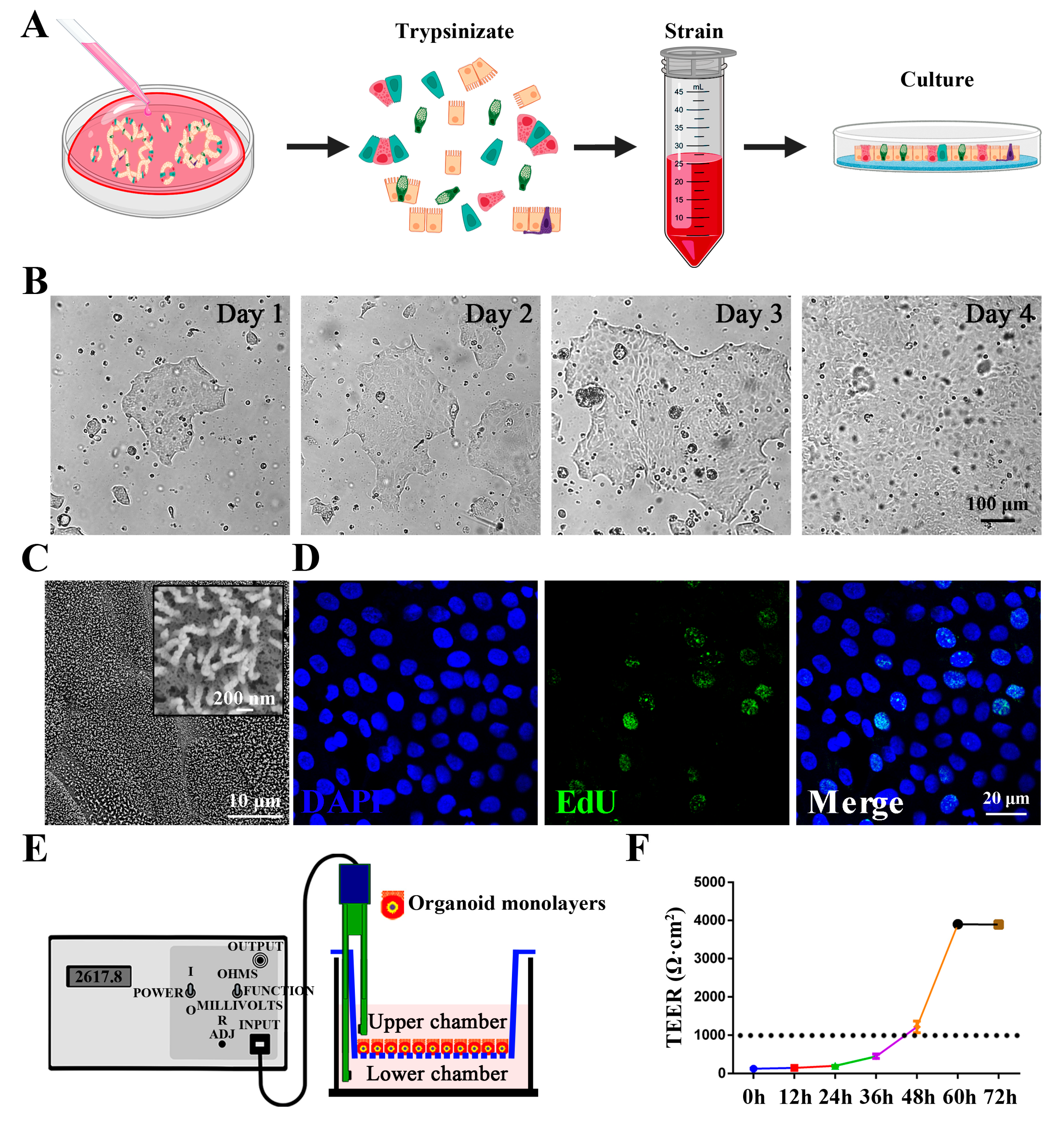 Animals 15 02850 g002