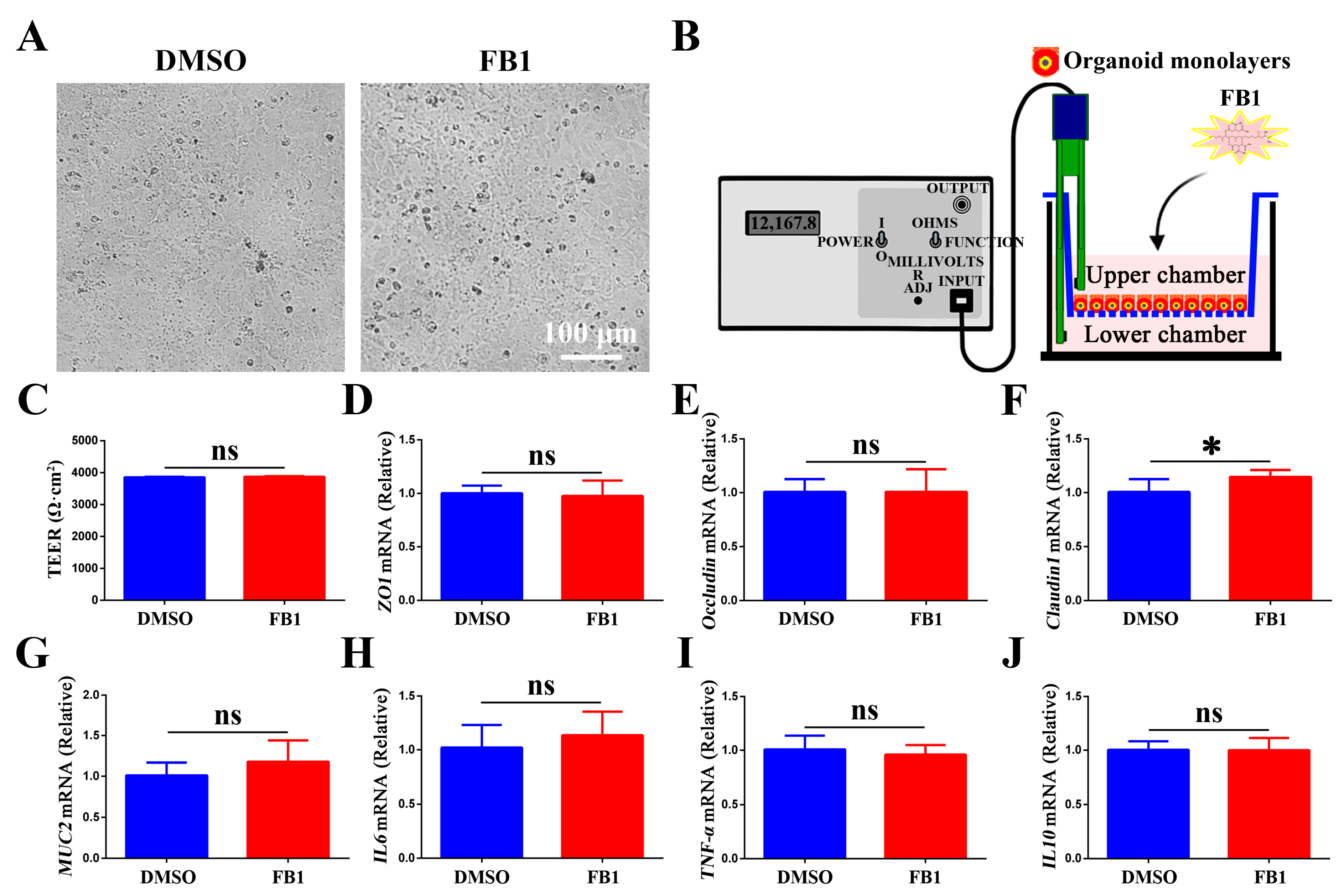 Animals 15 02850 g003