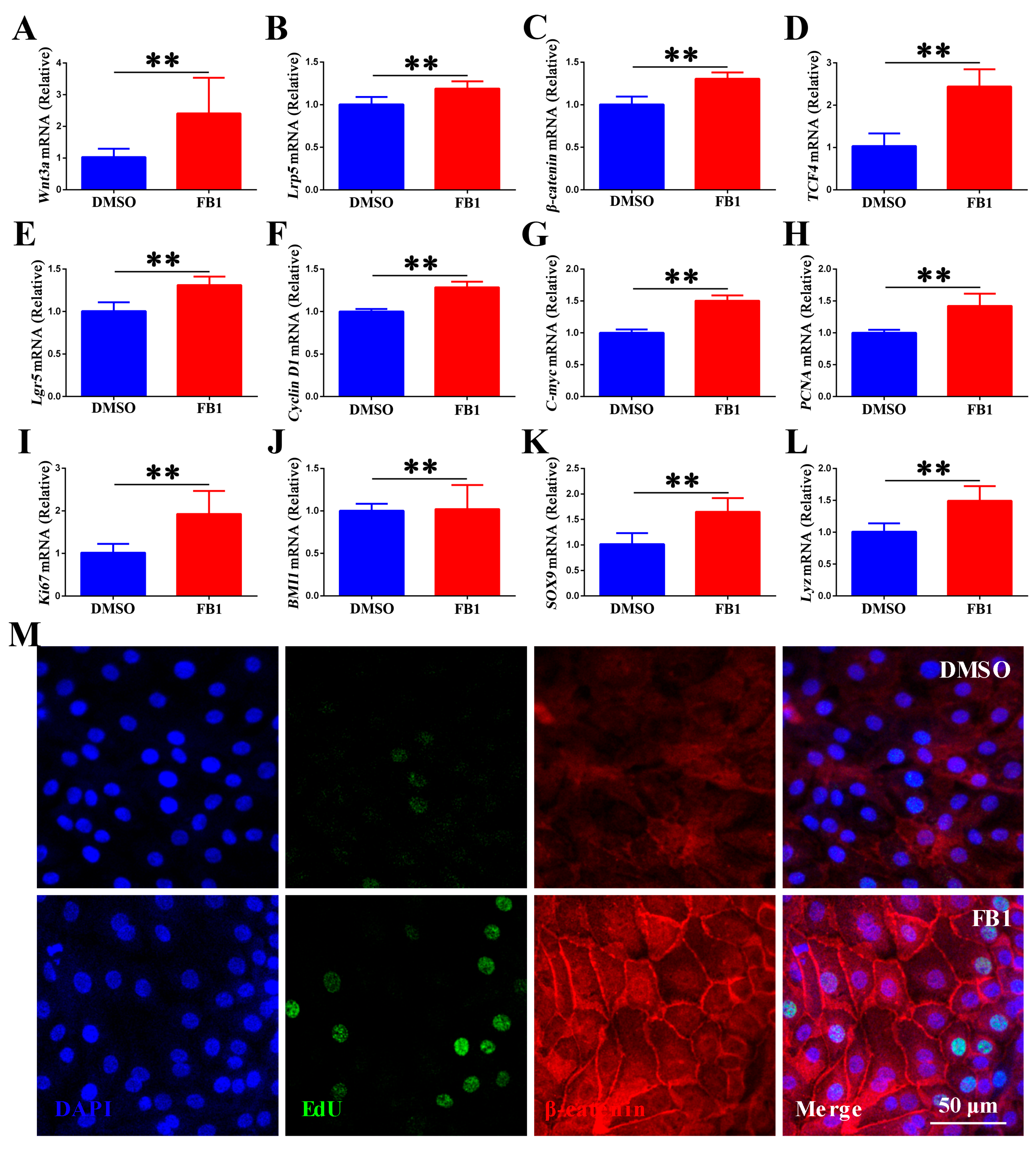 Animals 15 02850 g004