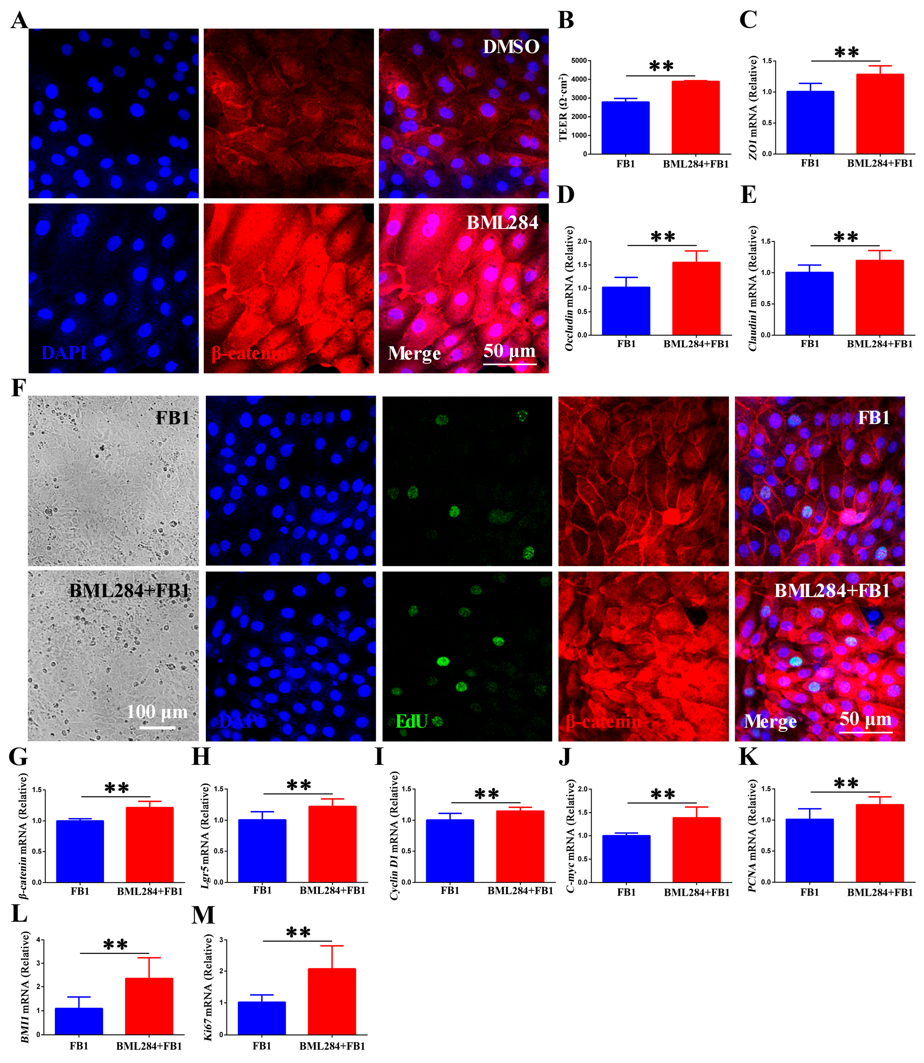 Animals 15 02850 g005