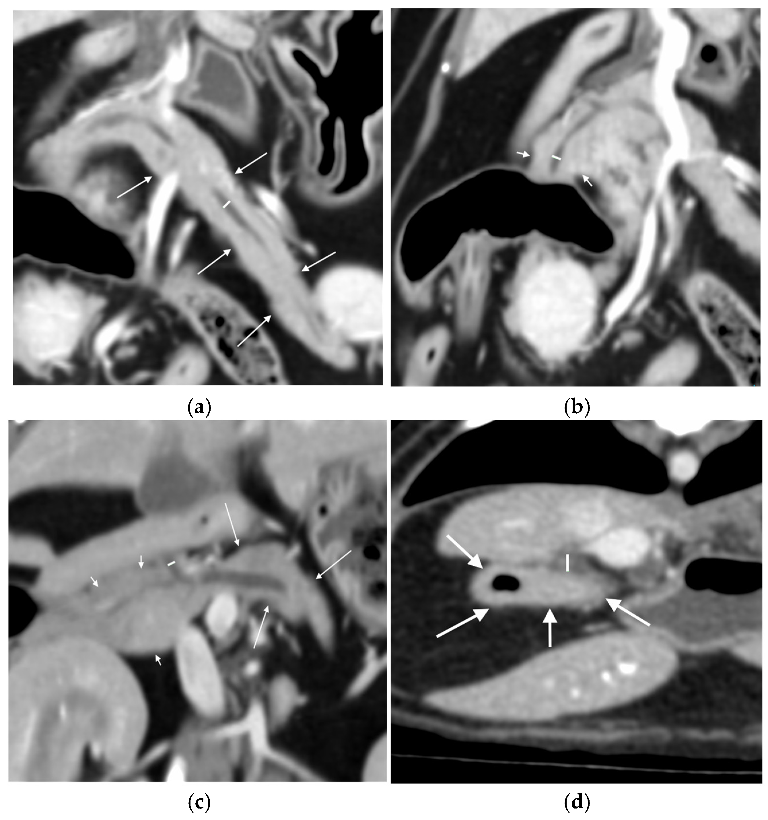 Animals 15 02857 g001 Animals 15 02857 g001