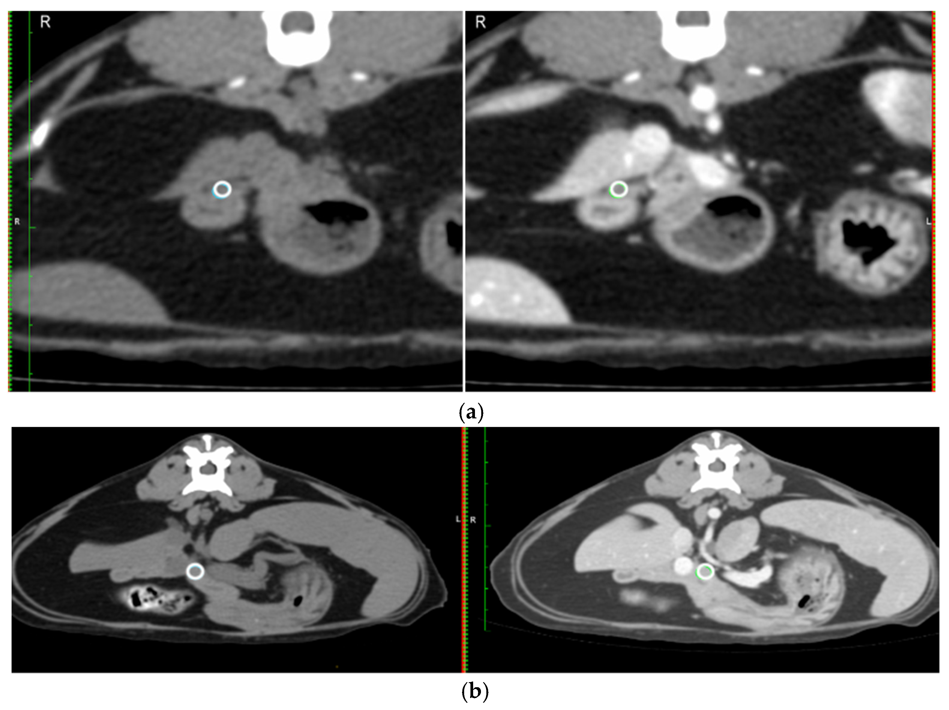 Animals 15 02857 g002 Animals 15 02857 g002