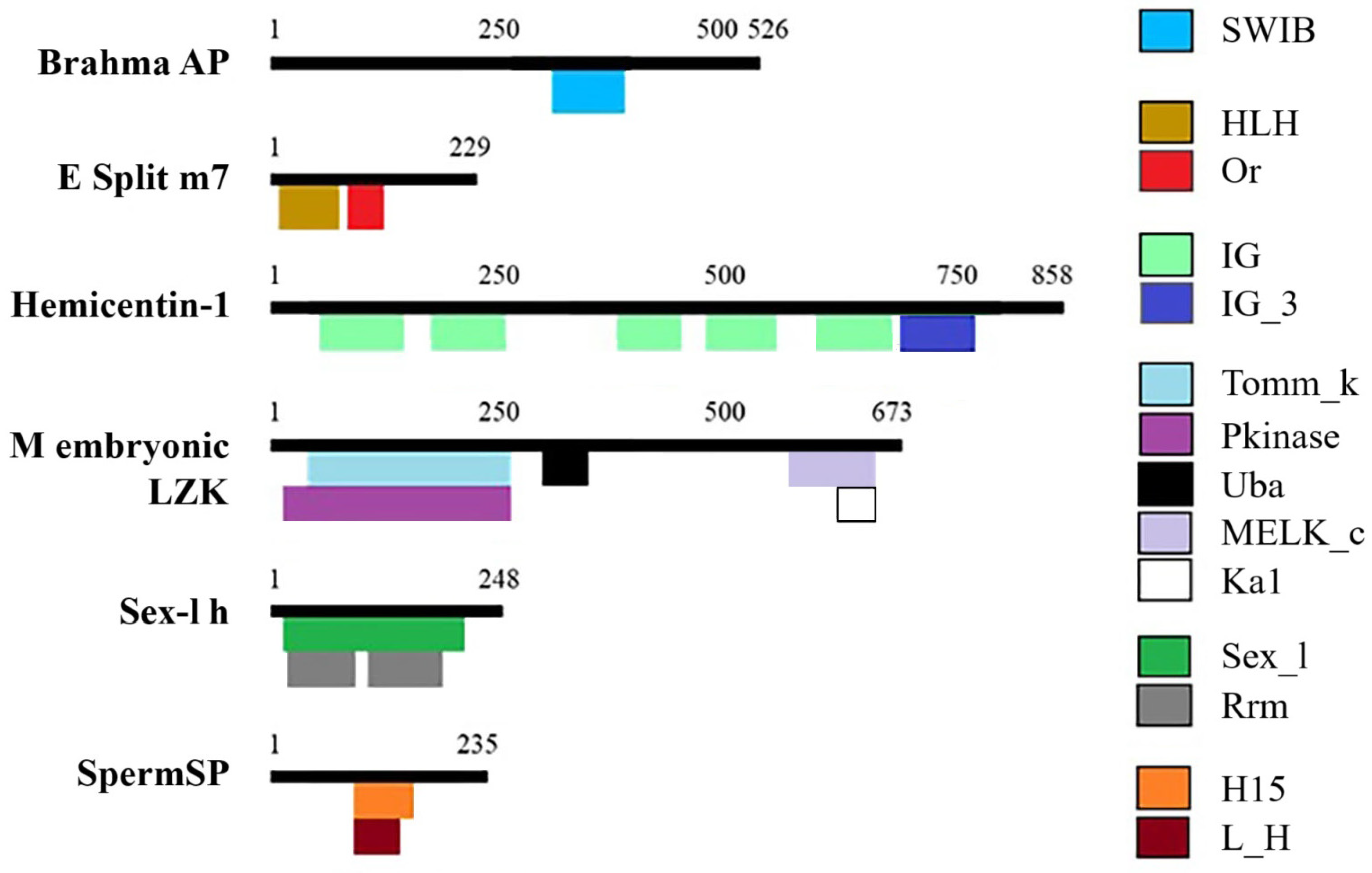 Animals 15 02860 g002 Animals 15 02860 g002