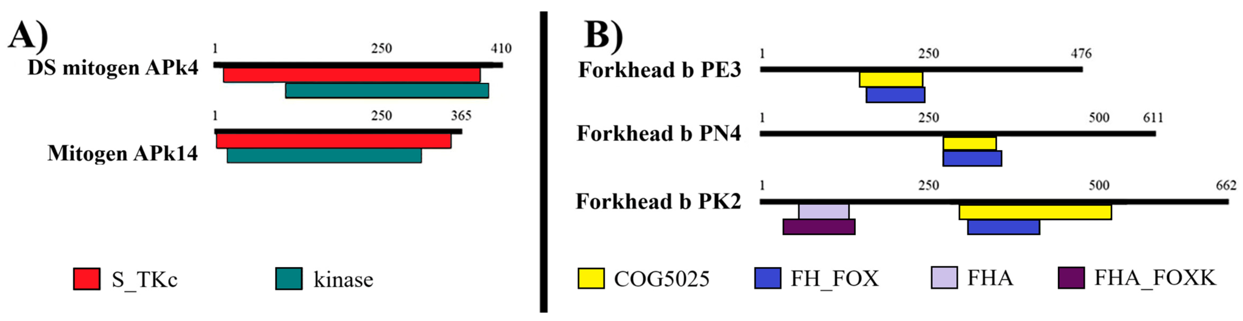 Animals 15 02860 g003 Animals 15 02860 g003