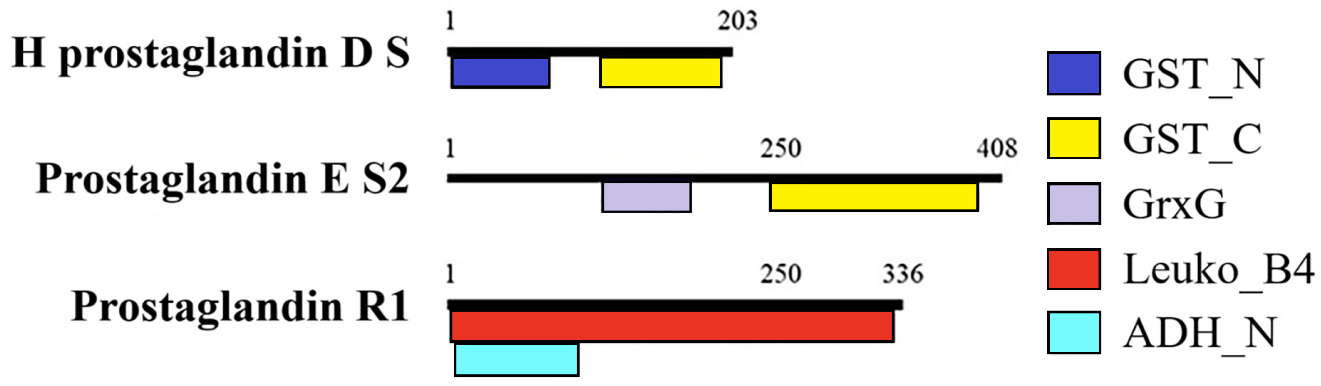 Animals 15 02860 g006 Animals 15 02860 g006