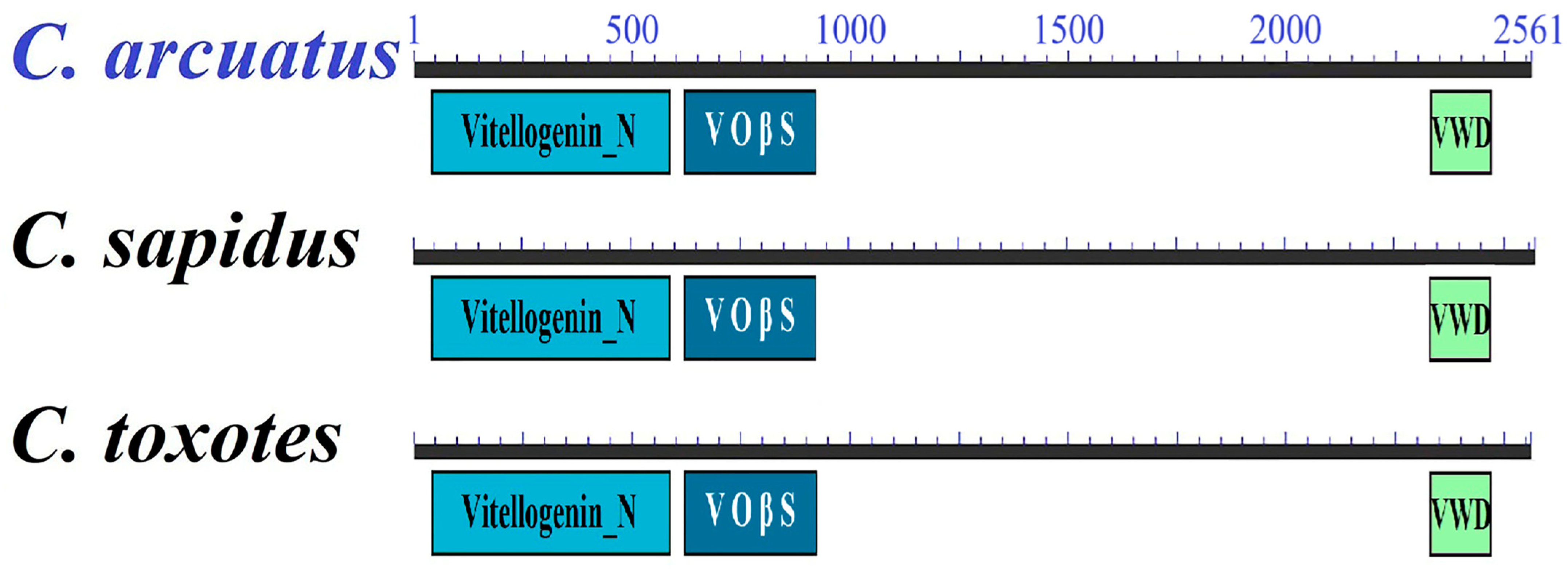 Animals 15 02860 g007 Animals 15 02860 g007