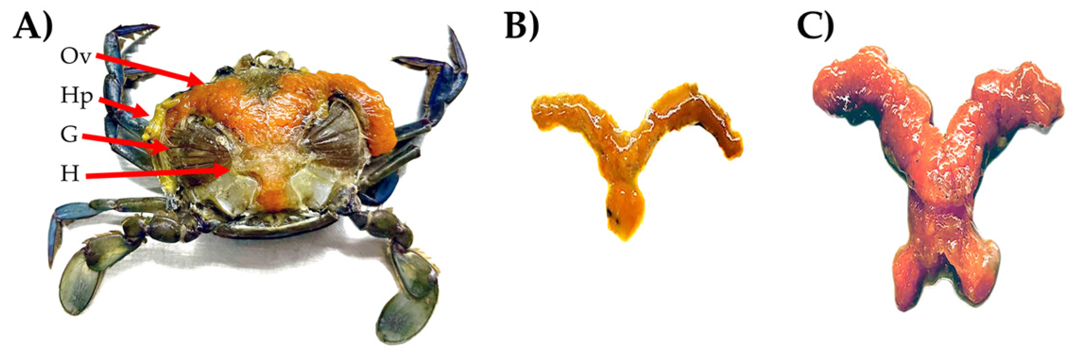 Animals 15 02860 g0a1 Animals 15 02860 g0a1