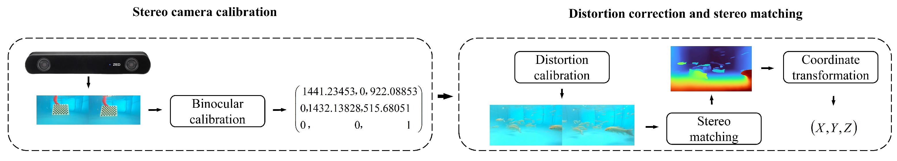 Animals 15 02862 g011