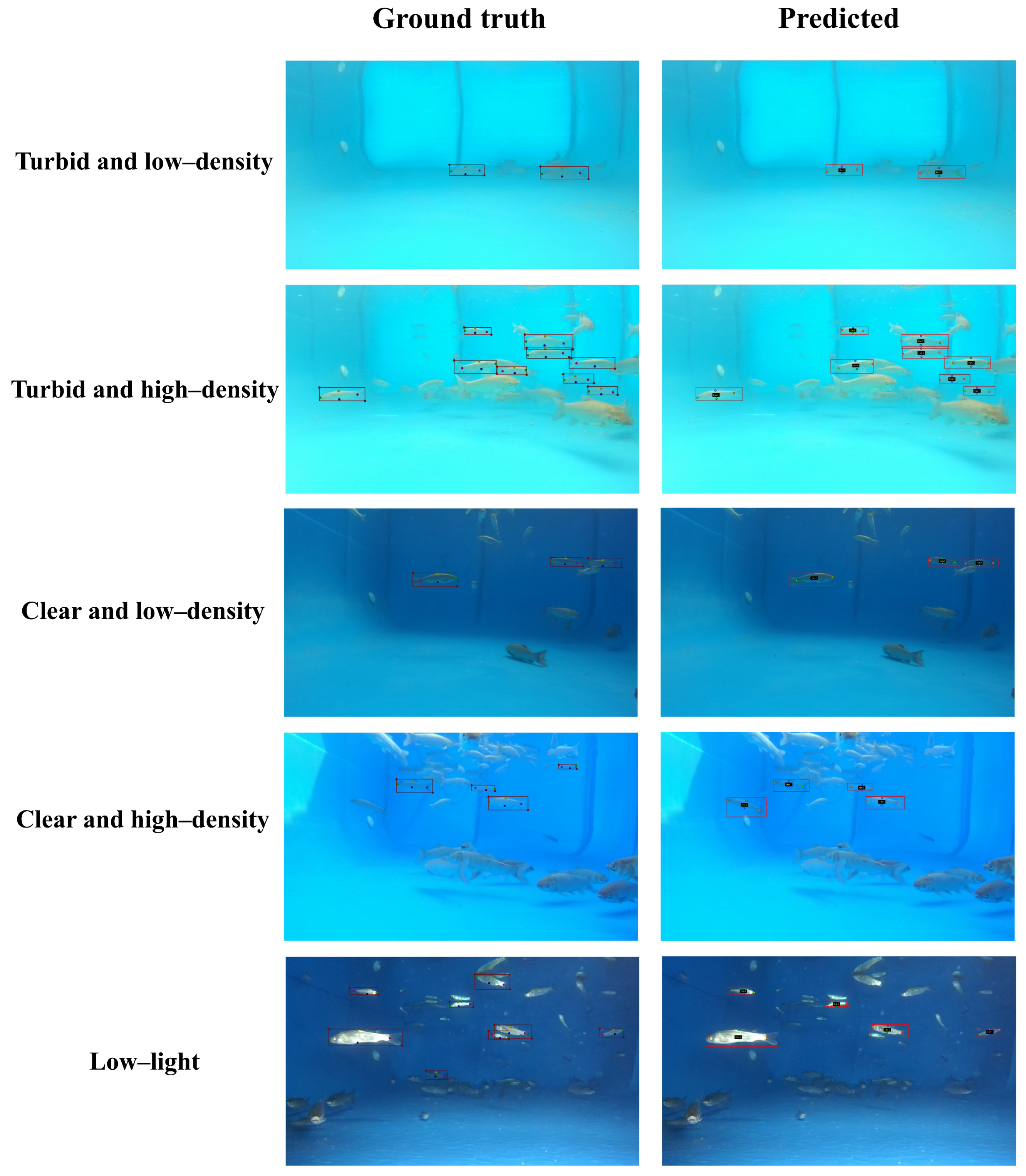 Animals 15 02862 g013