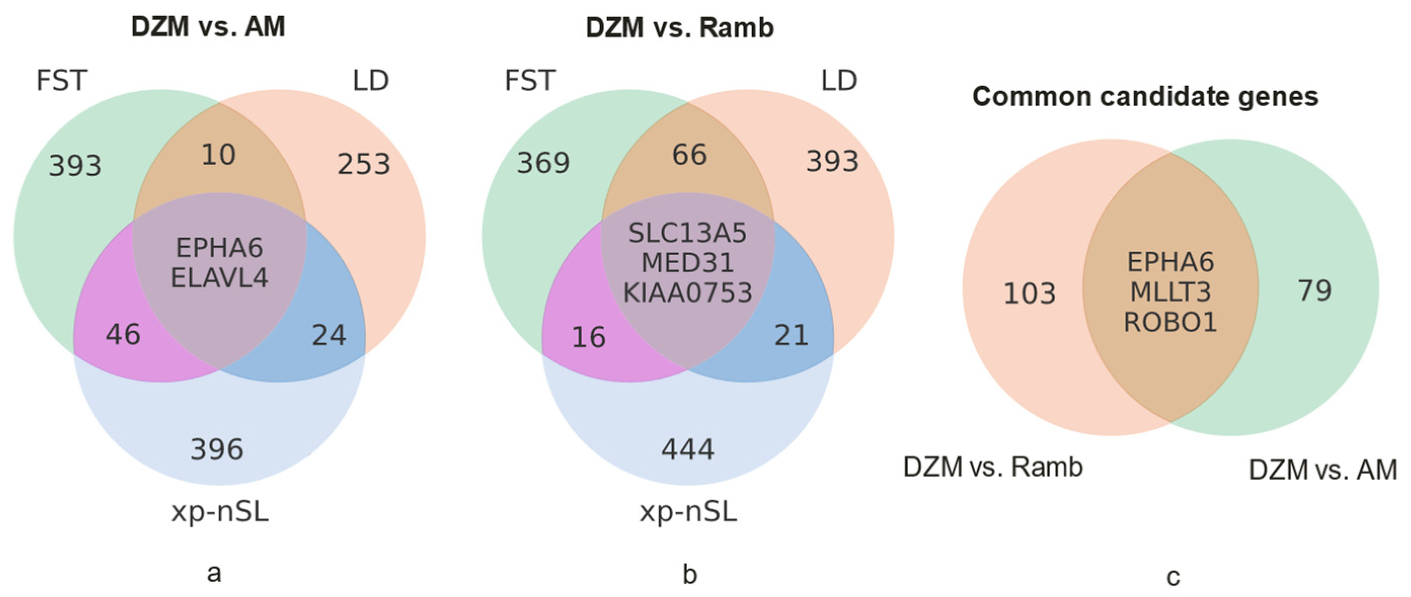 Animals 15 02871 g005 Animals 15 02871 g005